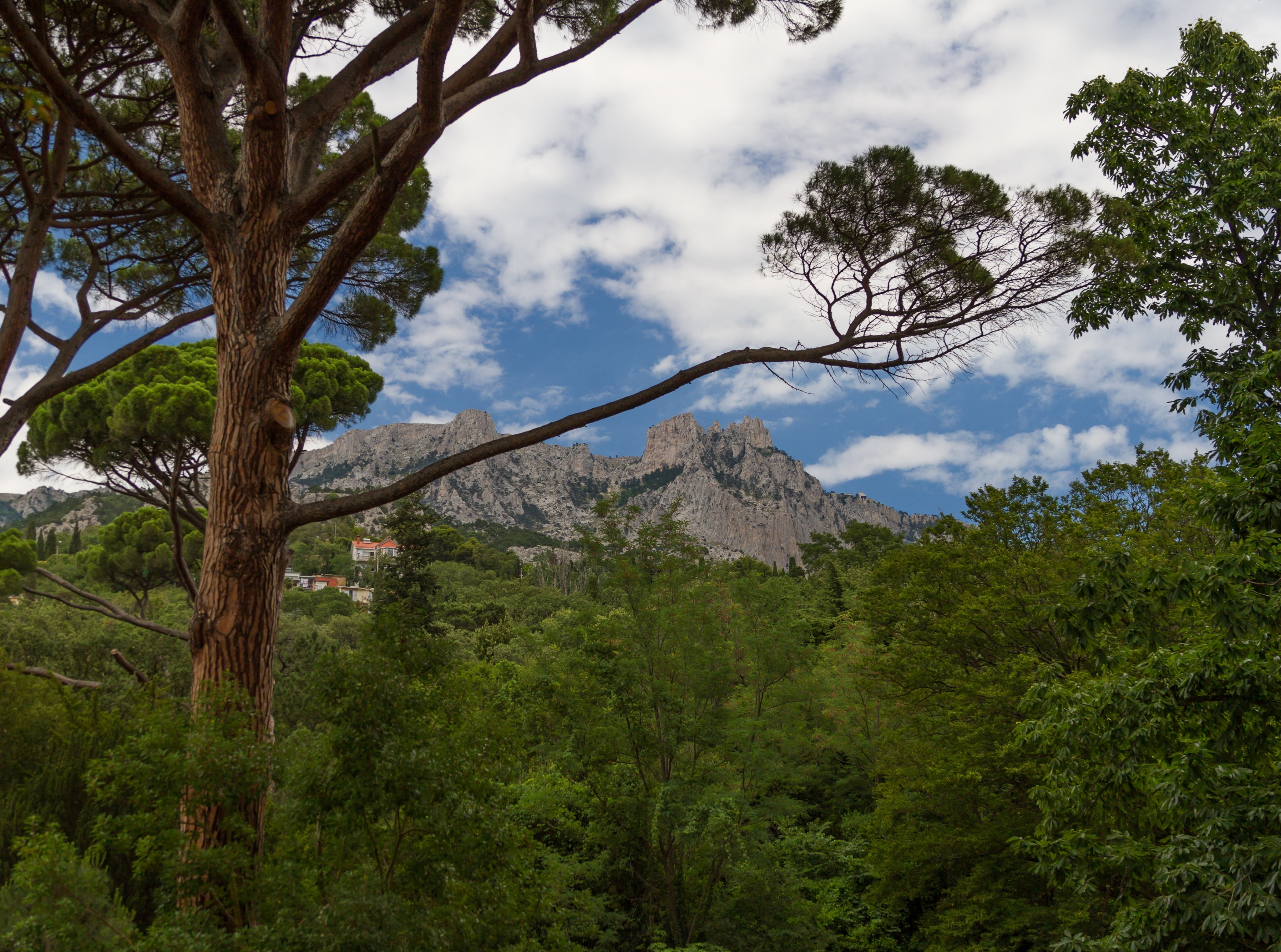 Nature, 4K, petri, Mountains, ai, HD Wallpaper