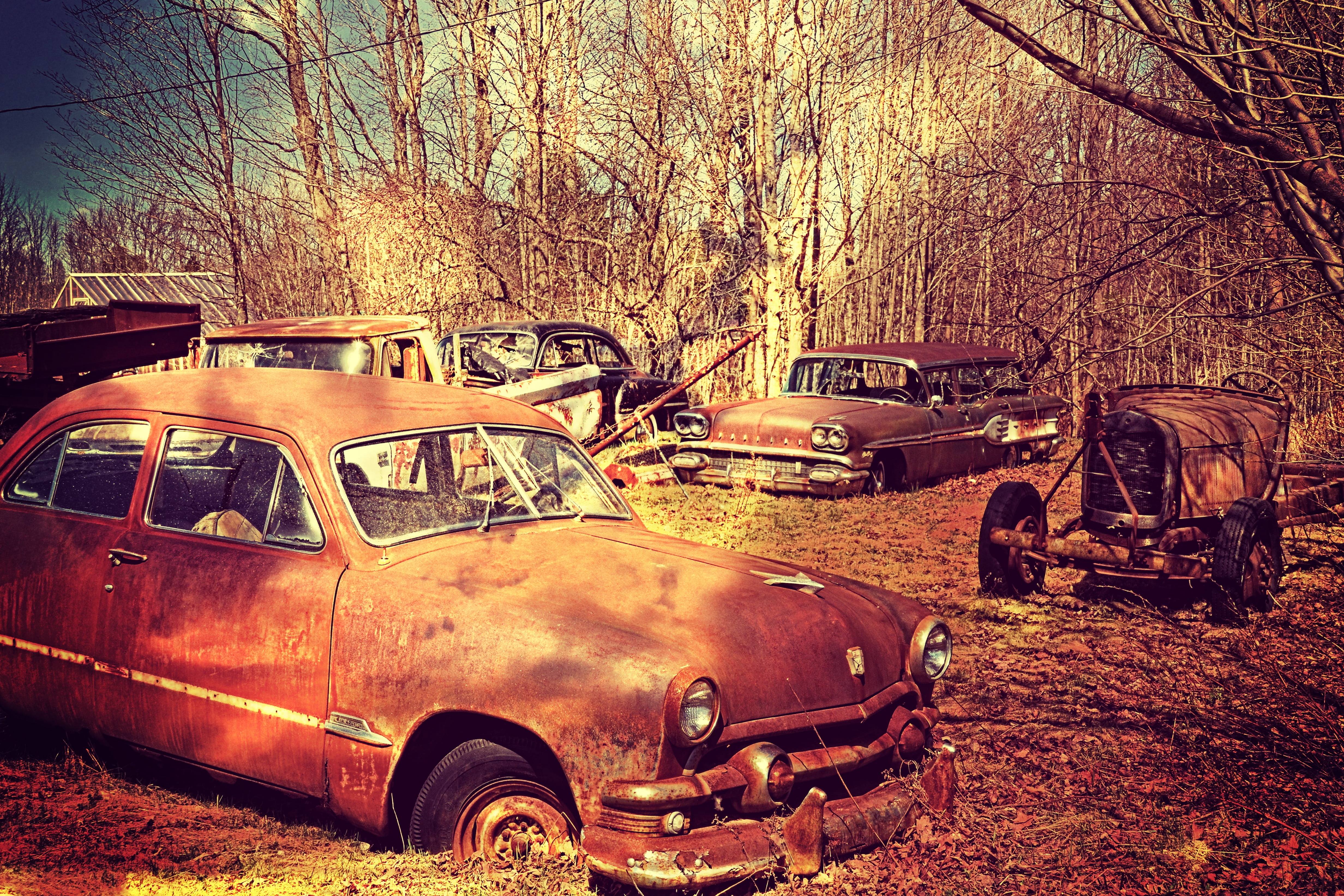 car, vintage, classic, art, day, auto, stainless, field, decline, no people, rusty, transportation, stationary, tress, old, car wreck, bare, bare tree, HD Wallpaper