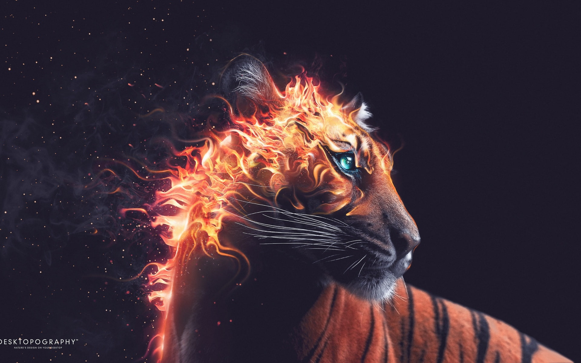 fire, tiger, creative, hd, creative and graphics, graphics, 1080P, HD Wallpaper