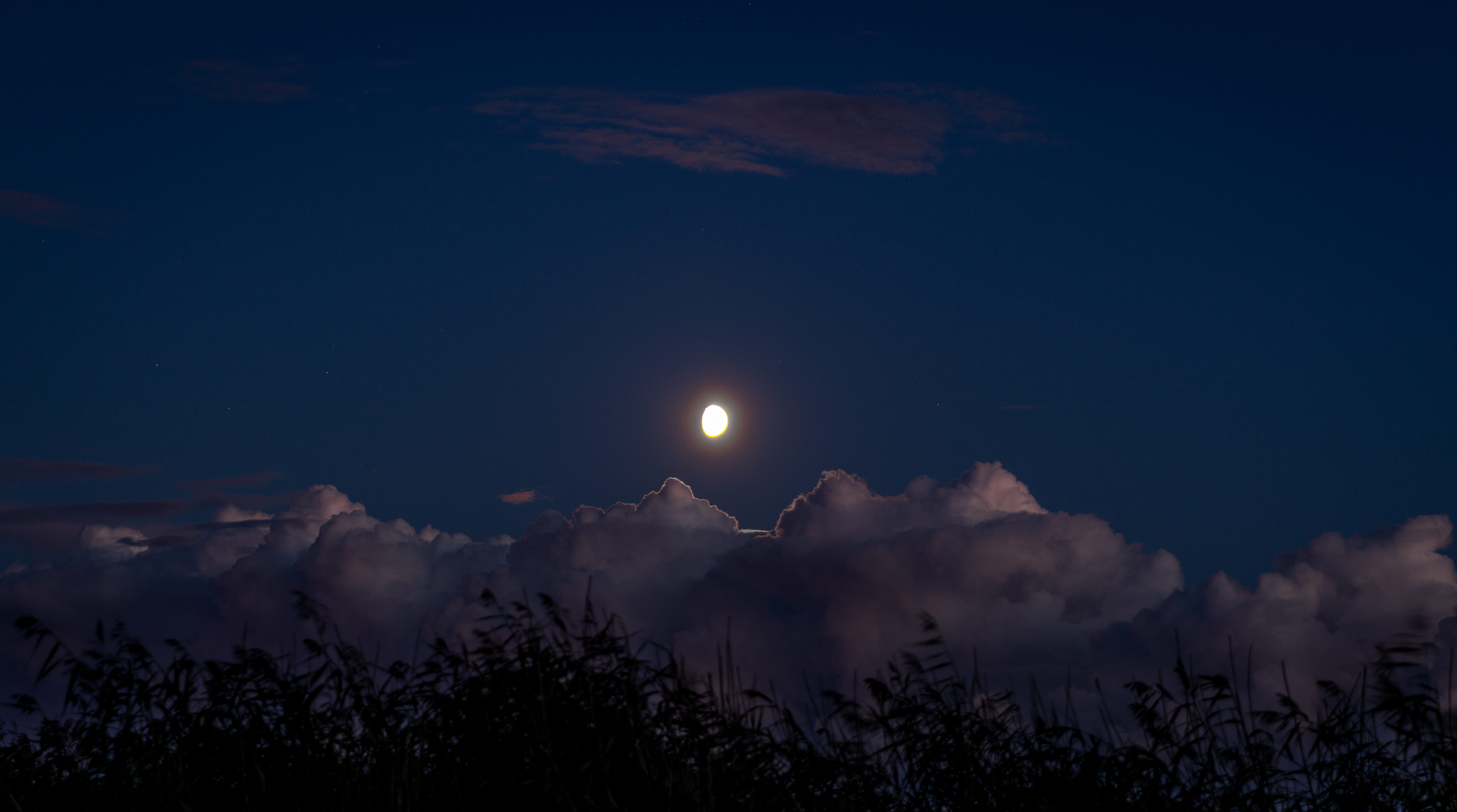 scenery, view, scenic, astronomy, land, scenics - nature, dramatic, evening, tranquil scene, tree, space, clouds, full moon, 5K, cloudiness, moon, tranquility, HD Wallpaper
