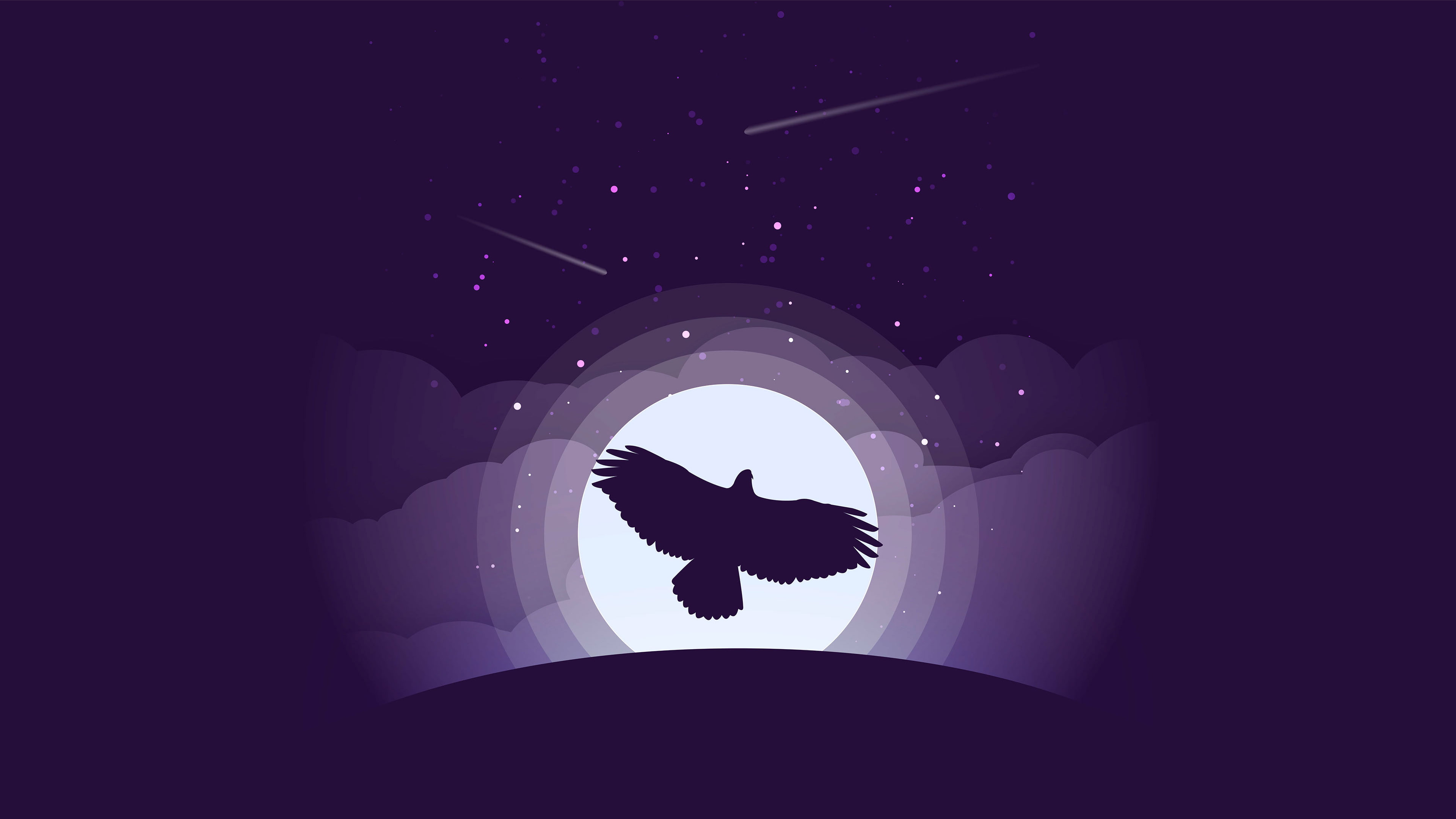 leisure activity, lifestyles, Minimal, nature, k, women, dark, rear view, illuminated, night, Eagle, Moon, one animal, Purple, indoors, men, standing, 4K, HD Wallpaper