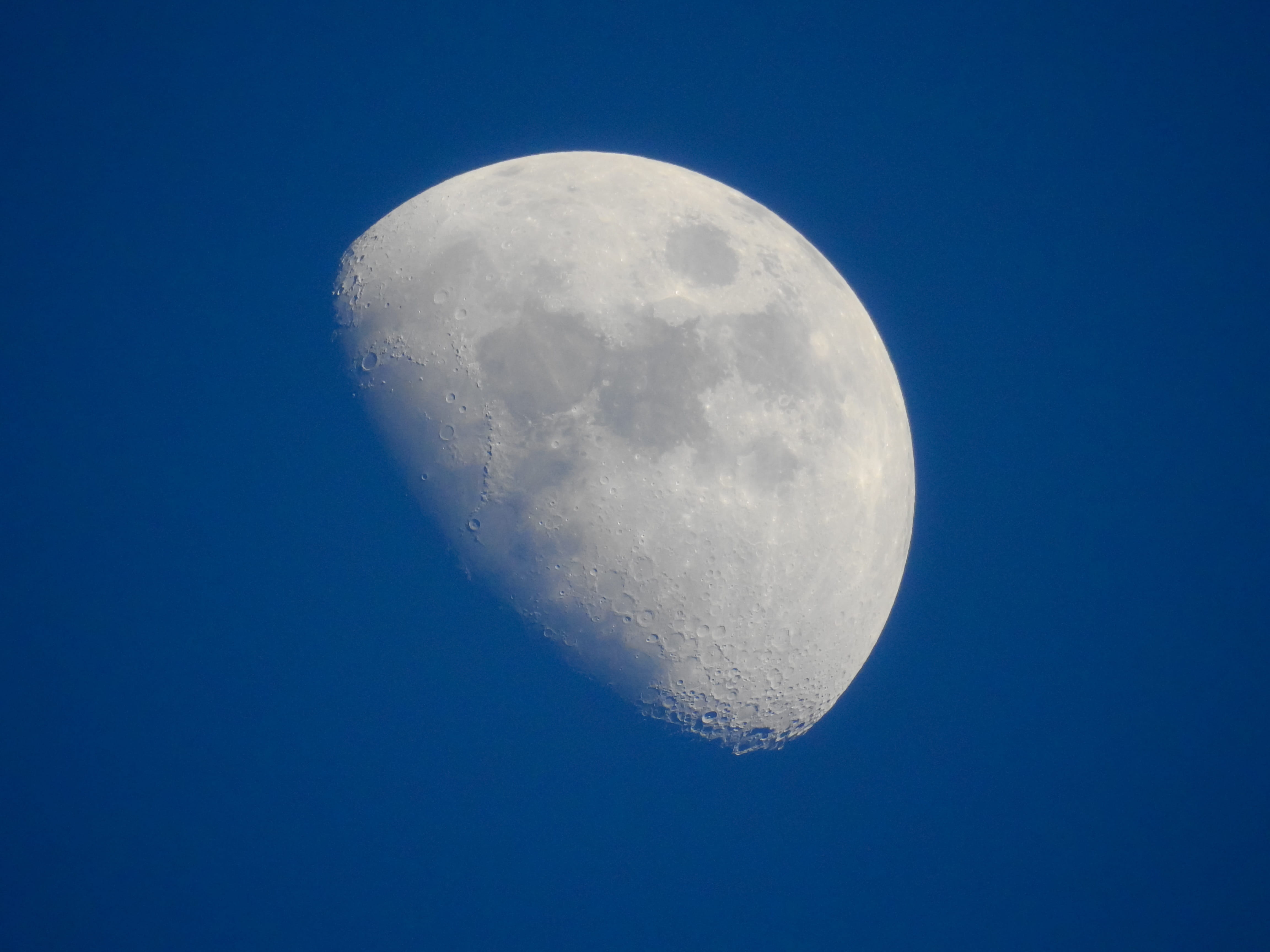 blue, tranquil scene, clear sky, half moon, sky, moonlight, 4K, moon, night, nature, low angle view, background, no people, science, space, HD Wallpaper