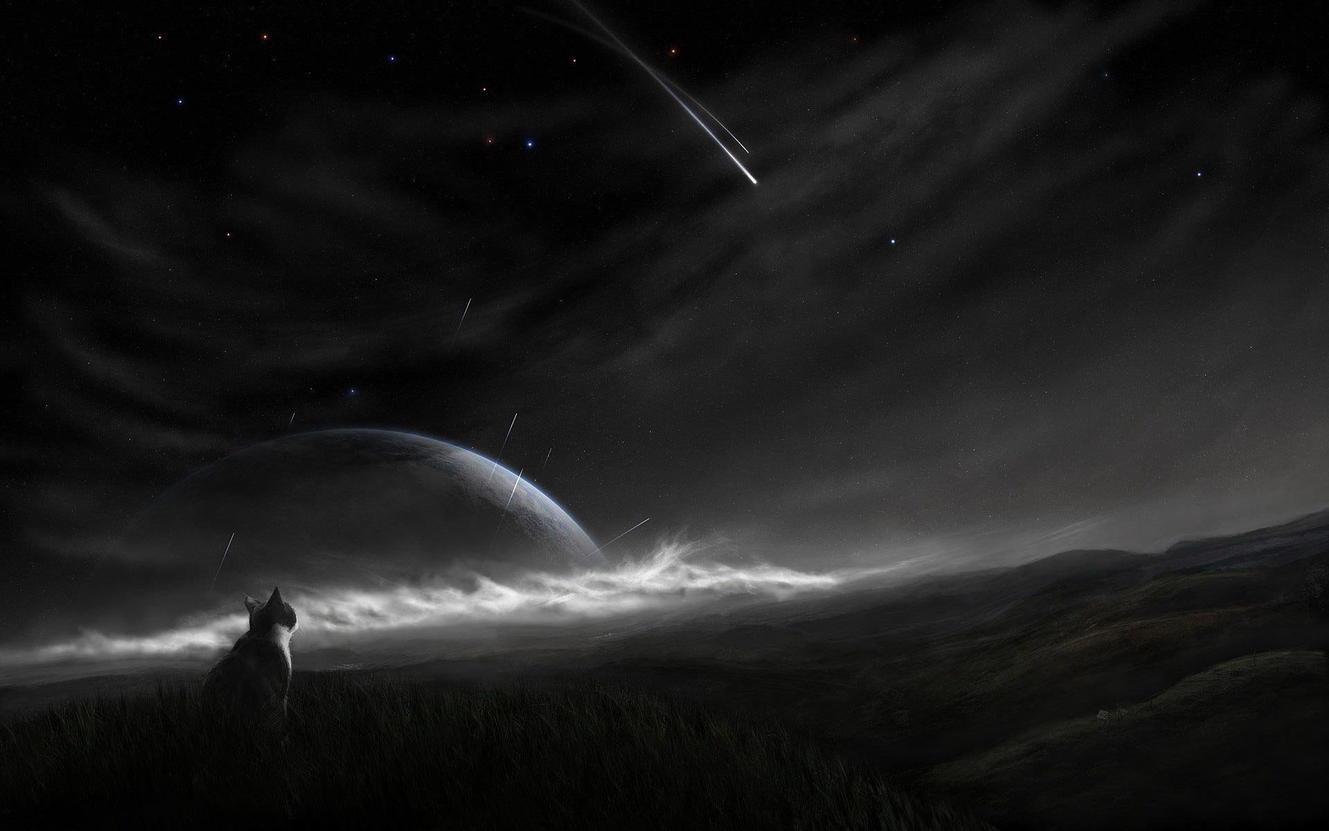 meteor, star, digital art, grayscale, planet, looking, starry, 1920x1200, night, cat, 1080P, sky, watching, photo, HD Wallpaper
