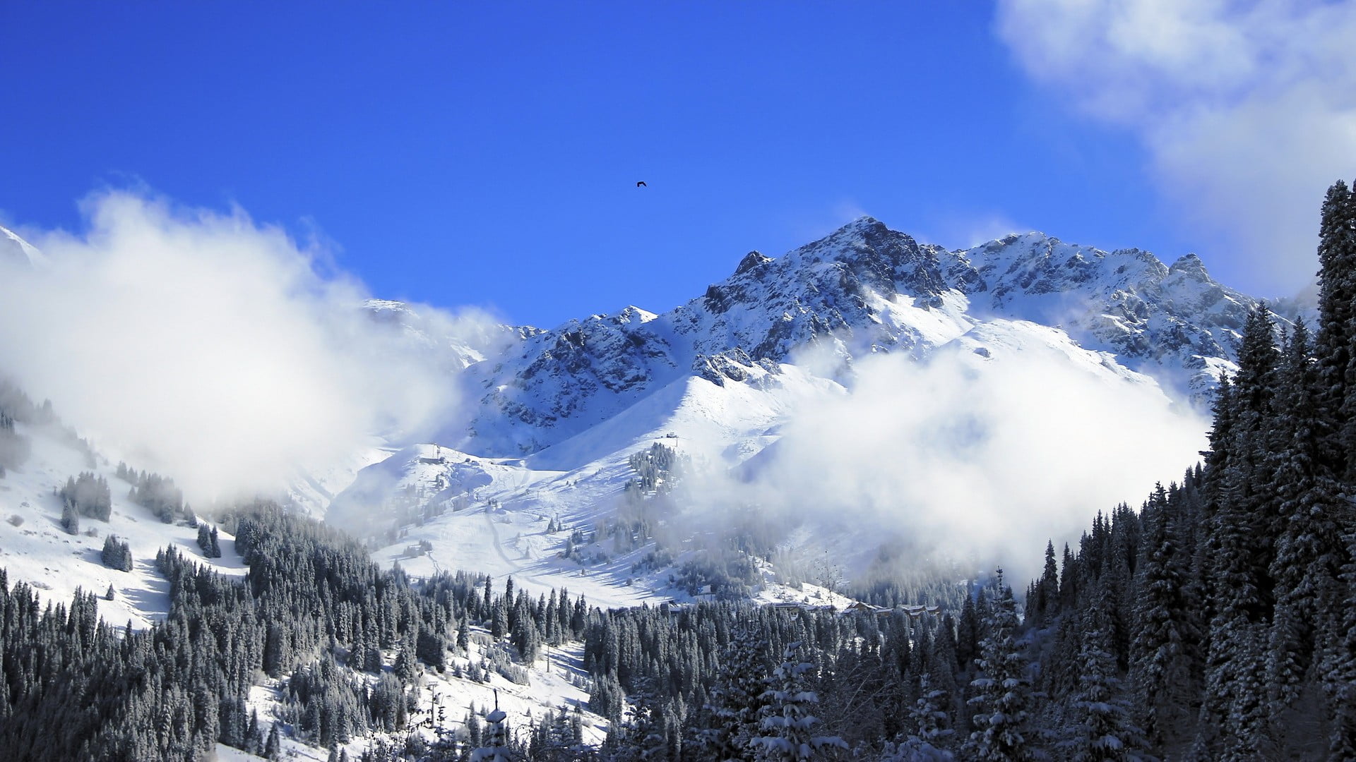 mountains, no people, sky, pine trees, tranquil scene, blue, winter, 1080P, scenics - nature, valley, cold temperature, snowcapped mountain, snow, woodland, HD Wallpaper