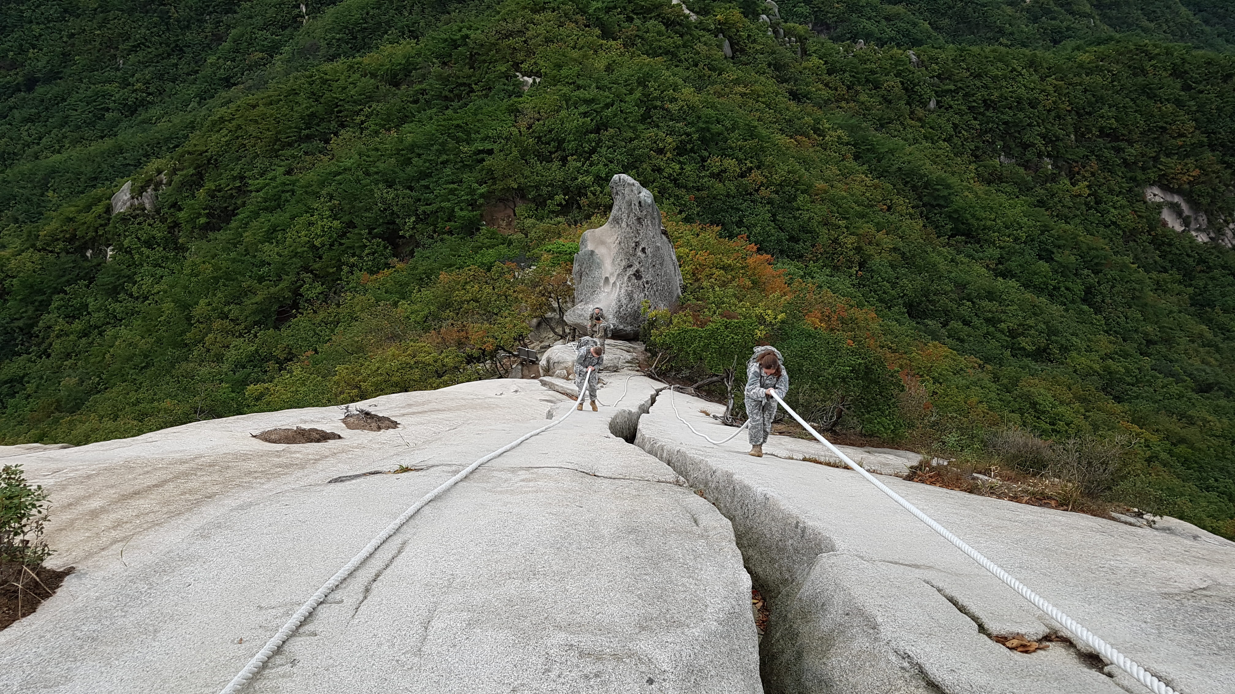 climbing, challenge, growth, climb, solid, mountain, cliff, day, coming, tranquil scene, 4K, tree, scenics - nature, transportation, vertical, rock, rope, HD Wallpaper