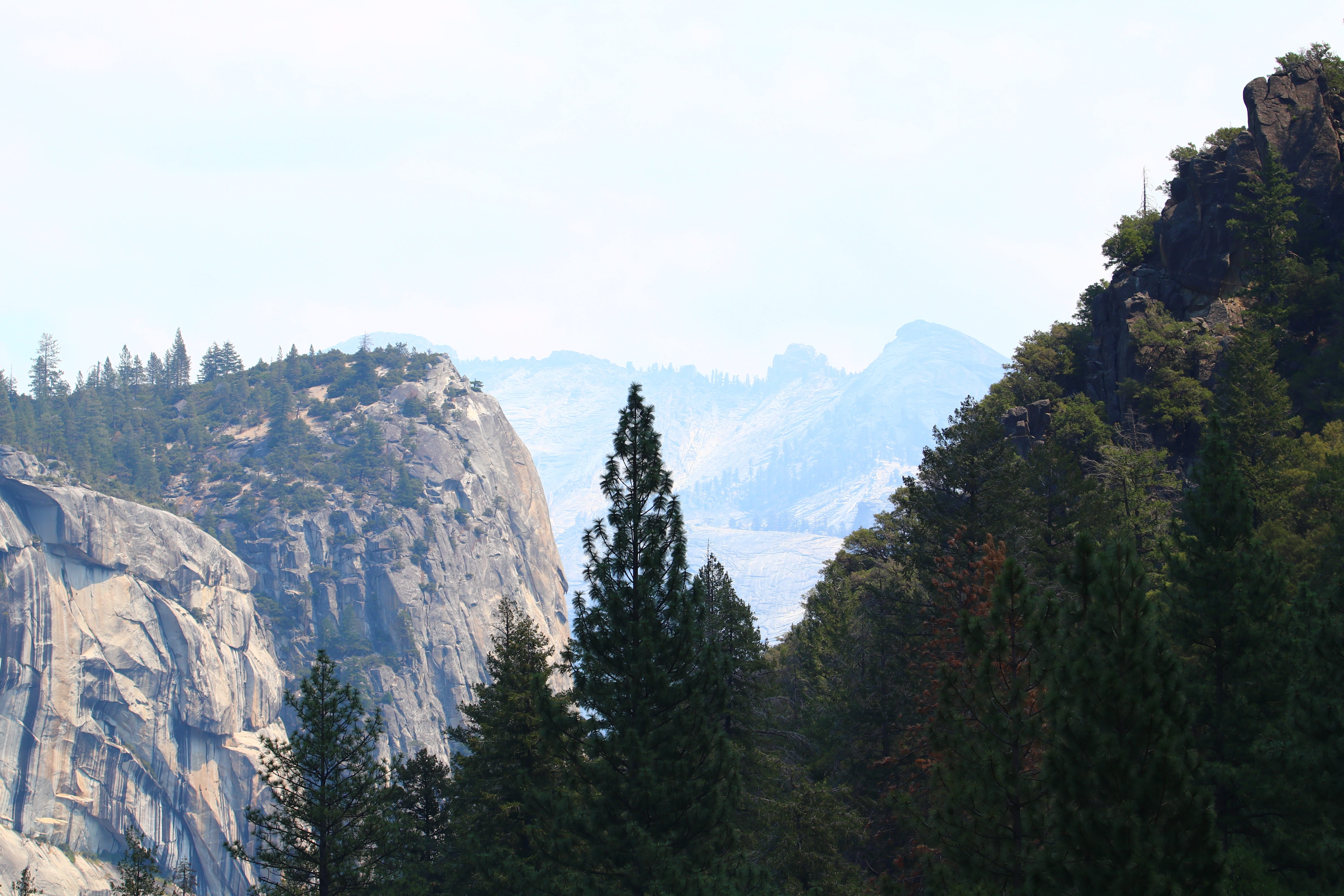 structure, attraction, mountain, canyon, environment, tree, narrow, land, steinig, national park, america, california, usa, quaint, influence, HD Wallpaper