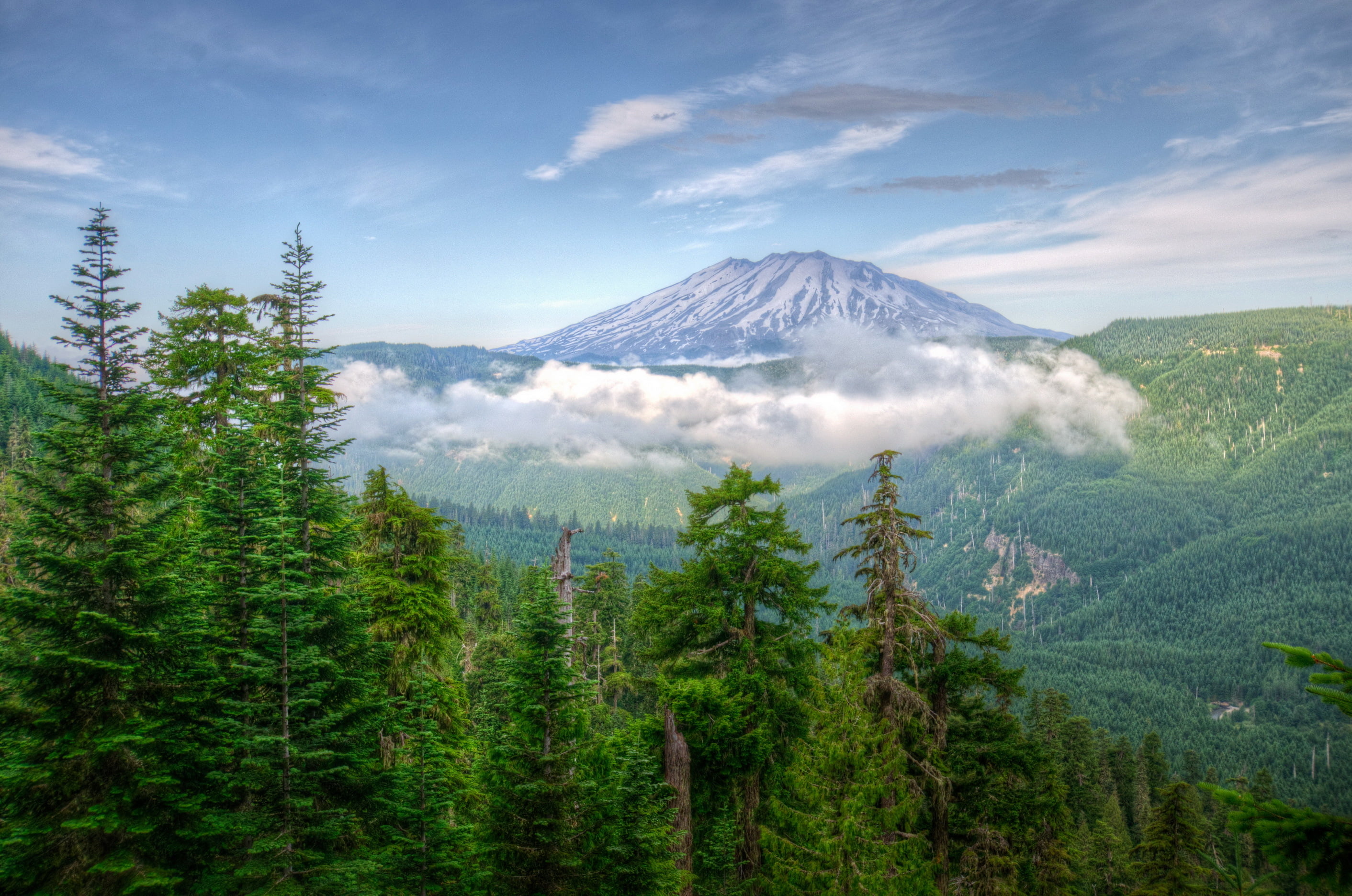 washington, tranquil Scene, scenics - nature, beauty In Nature, tranquility, mountain Range, coniferous tree, trees, mt Fuji, travel Destinations, travel, HD Wallpaper