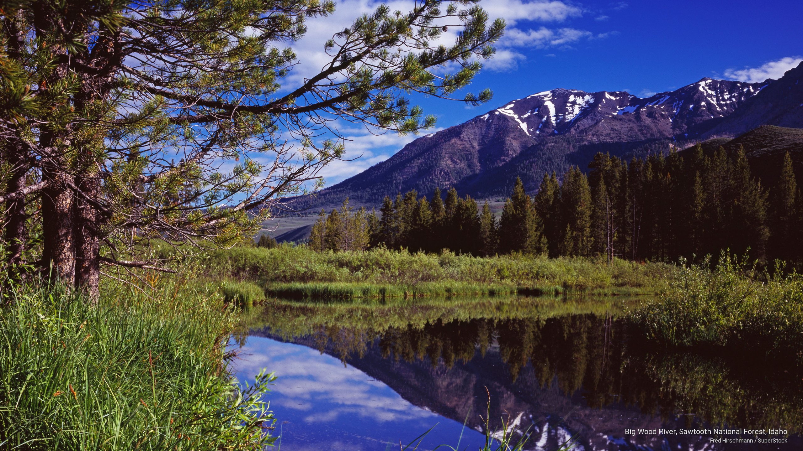 big, idaho, river, 2K, Spring/Summer, national, forest, wood, sawtooth, HD Wallpaper