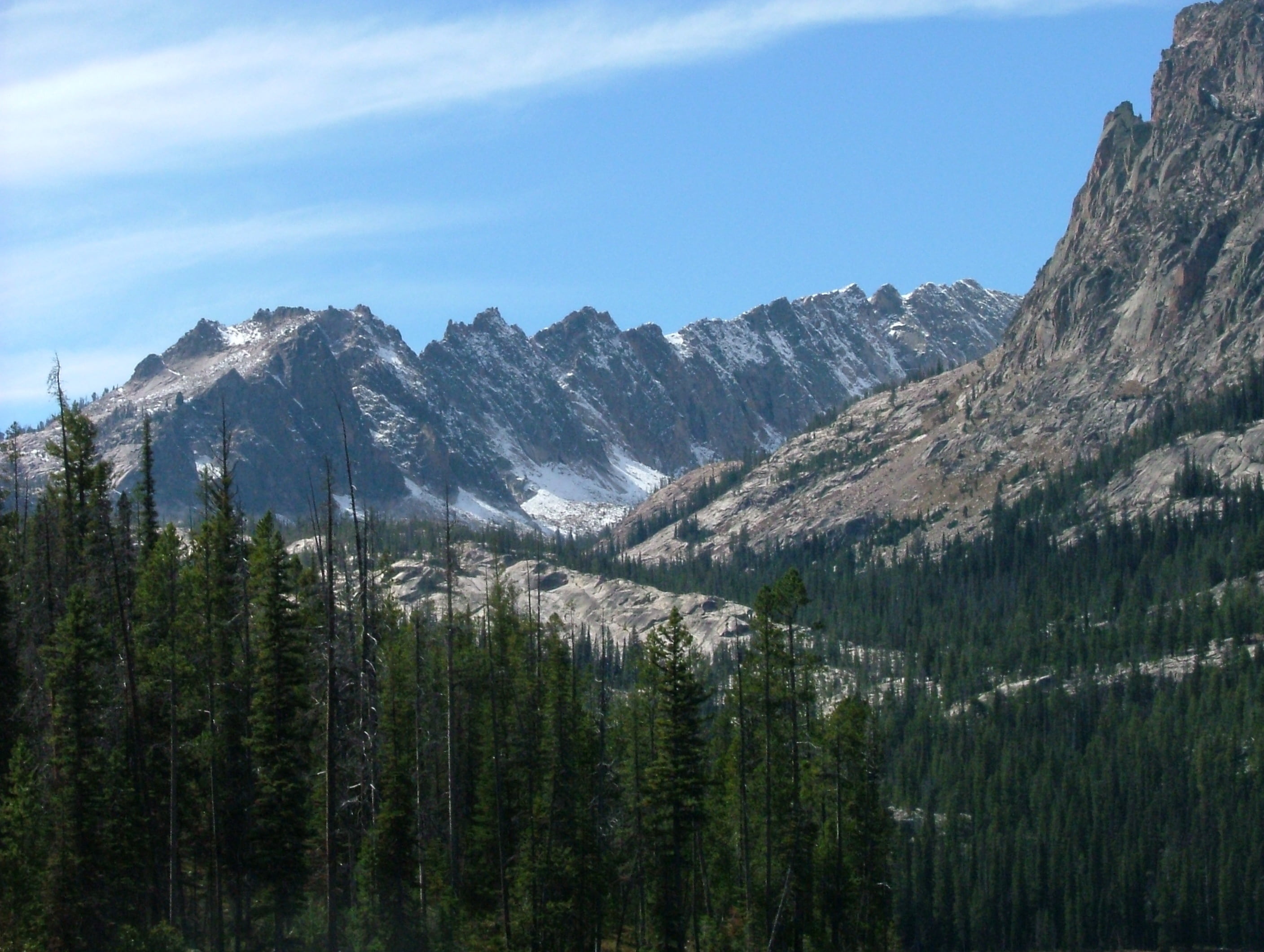 outdoors, 2K, peaks, mountain peak, alberta, growth, pine woodland, sawtooth, snowcapped mountain, forest, environment, plant, sky, mountain, landscape, HD Wallpaper