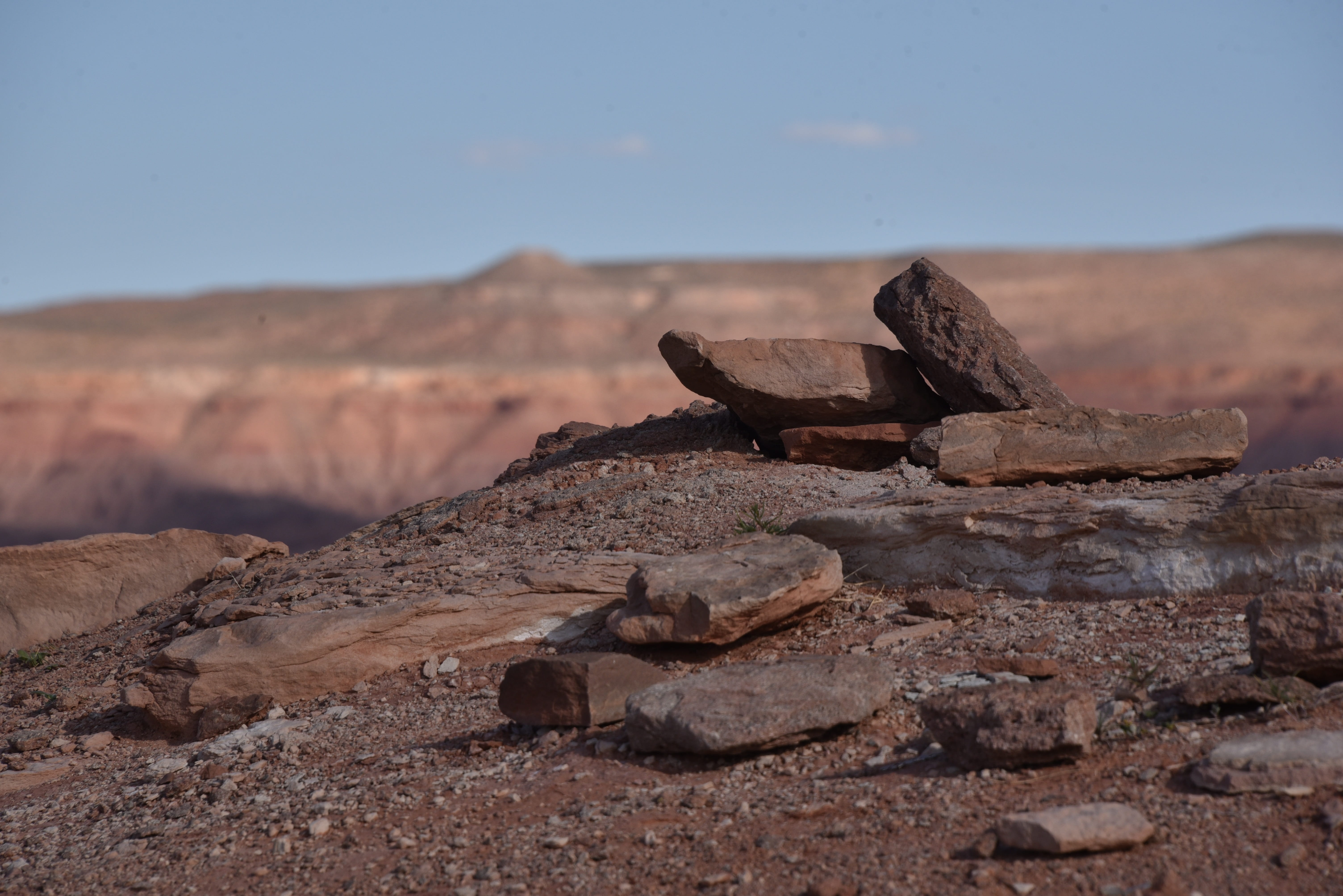 rock, no People, extreme Terrain, scenics - nature, piled, non-urban scene, animal wildlife, Monument Valley, environment, animal, zen, tranquil scene, HD Wallpaper