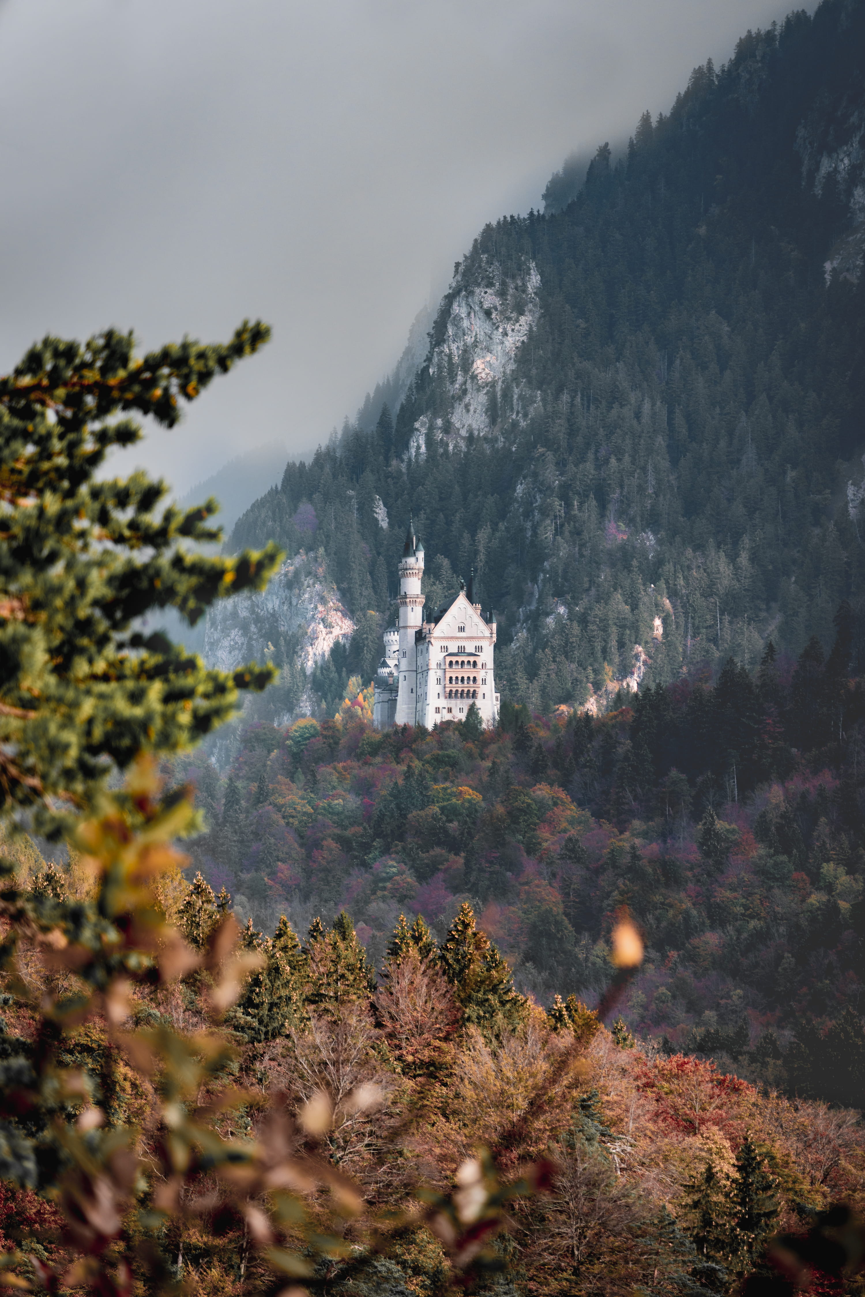 place of worship, alpsee, 4K, rock, architecture, spirituality, white, scenics - nature, monument, sky, tower, forest, traditional design, castle, hillside, Phone HD Wallpaper