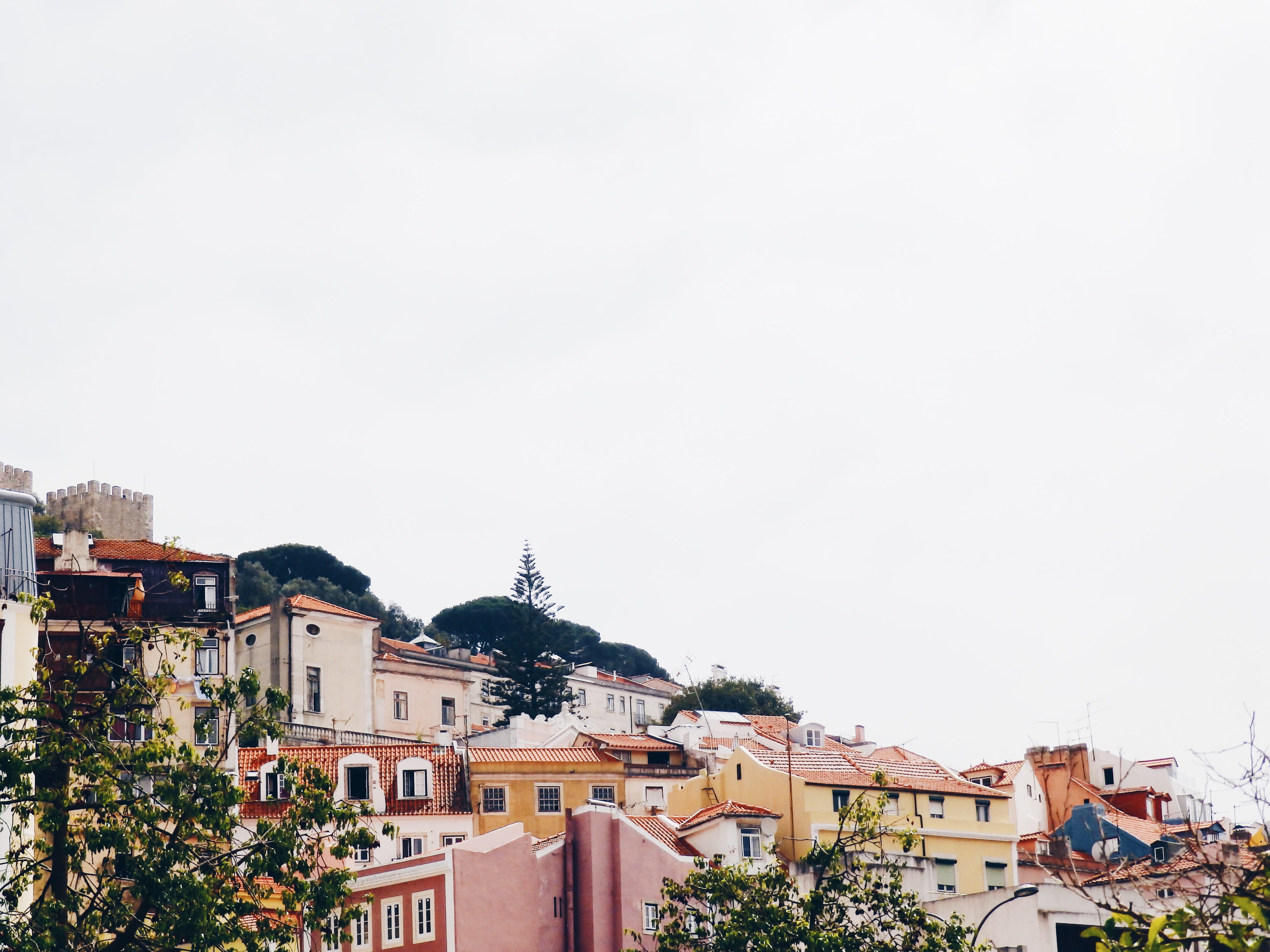 nature, day, hillside, roof, copy space, outdoors, building, buildings, tree, row house, residential district, town, white, daytime, townscape, concrete, HD Wallpaper