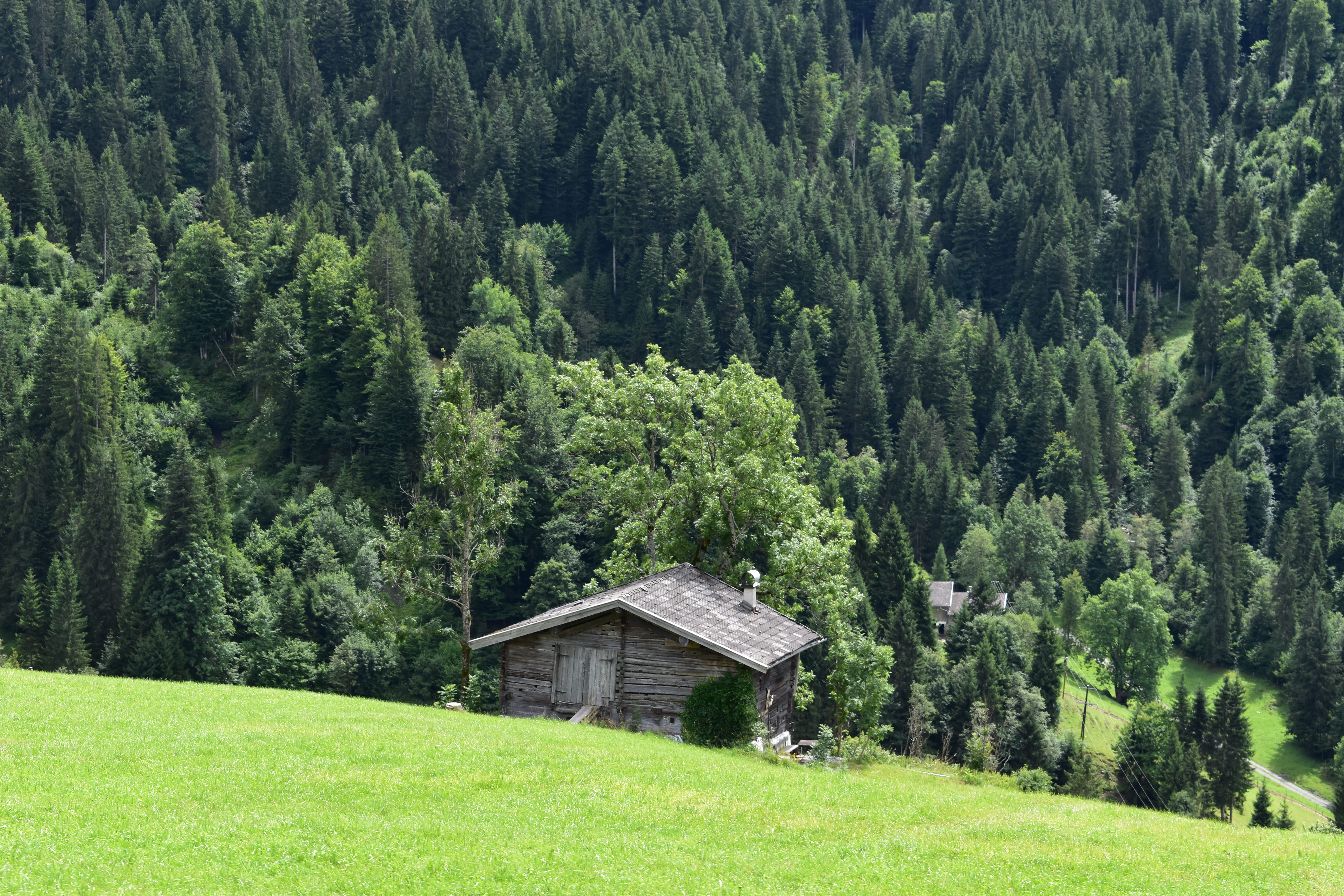 house, environment, architecture, landscape, outdoors, no people, woodland, lush foliage, trees, countryside, tree, hill, bromberg 22, plant, green color, HD Wallpaper