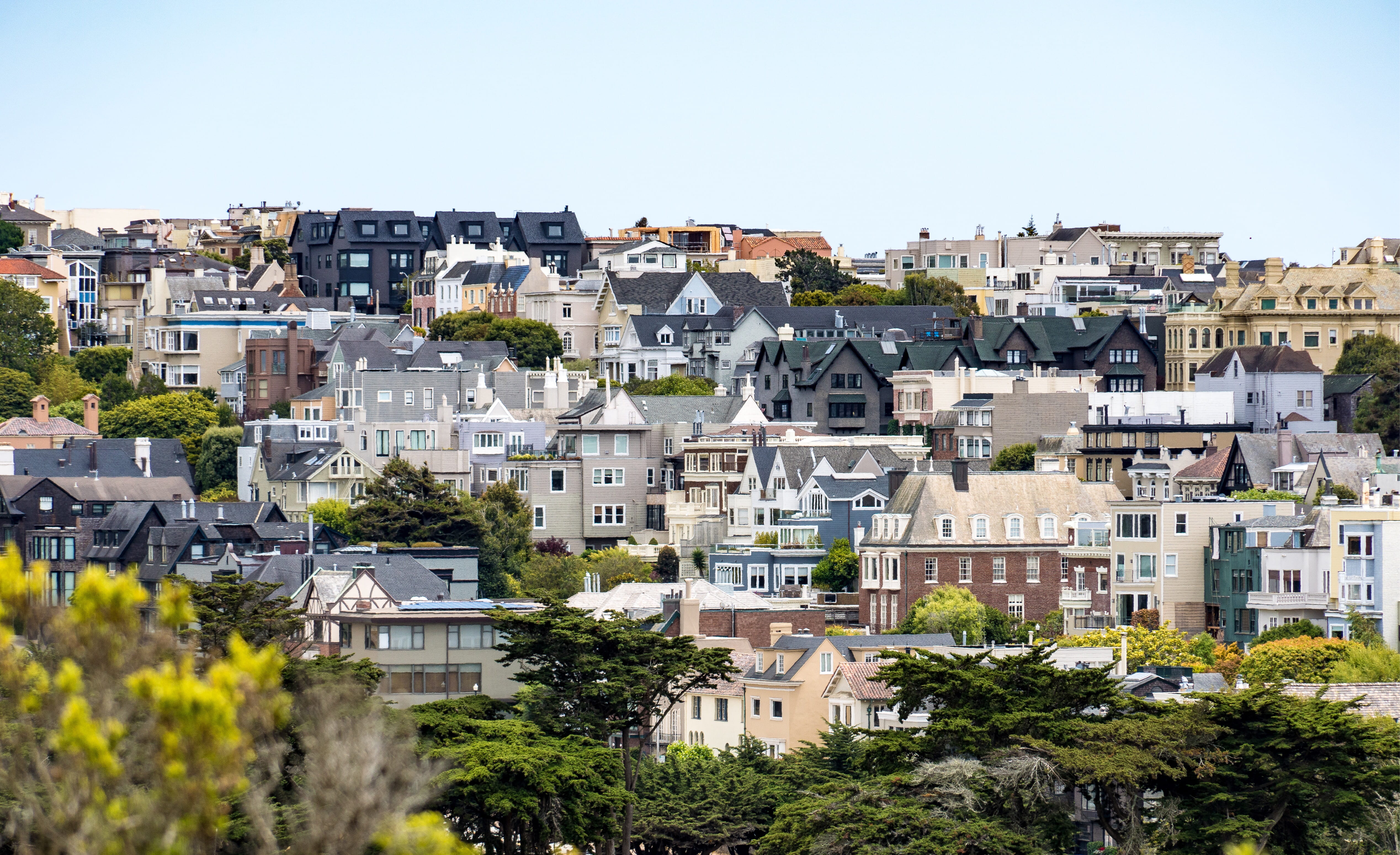 residential district, building exterior, town, san francisco, landscape, nature, house, clear sky, urban, hillside, sky, daytime, houses, tree, city, outdoors, HD Wallpaper