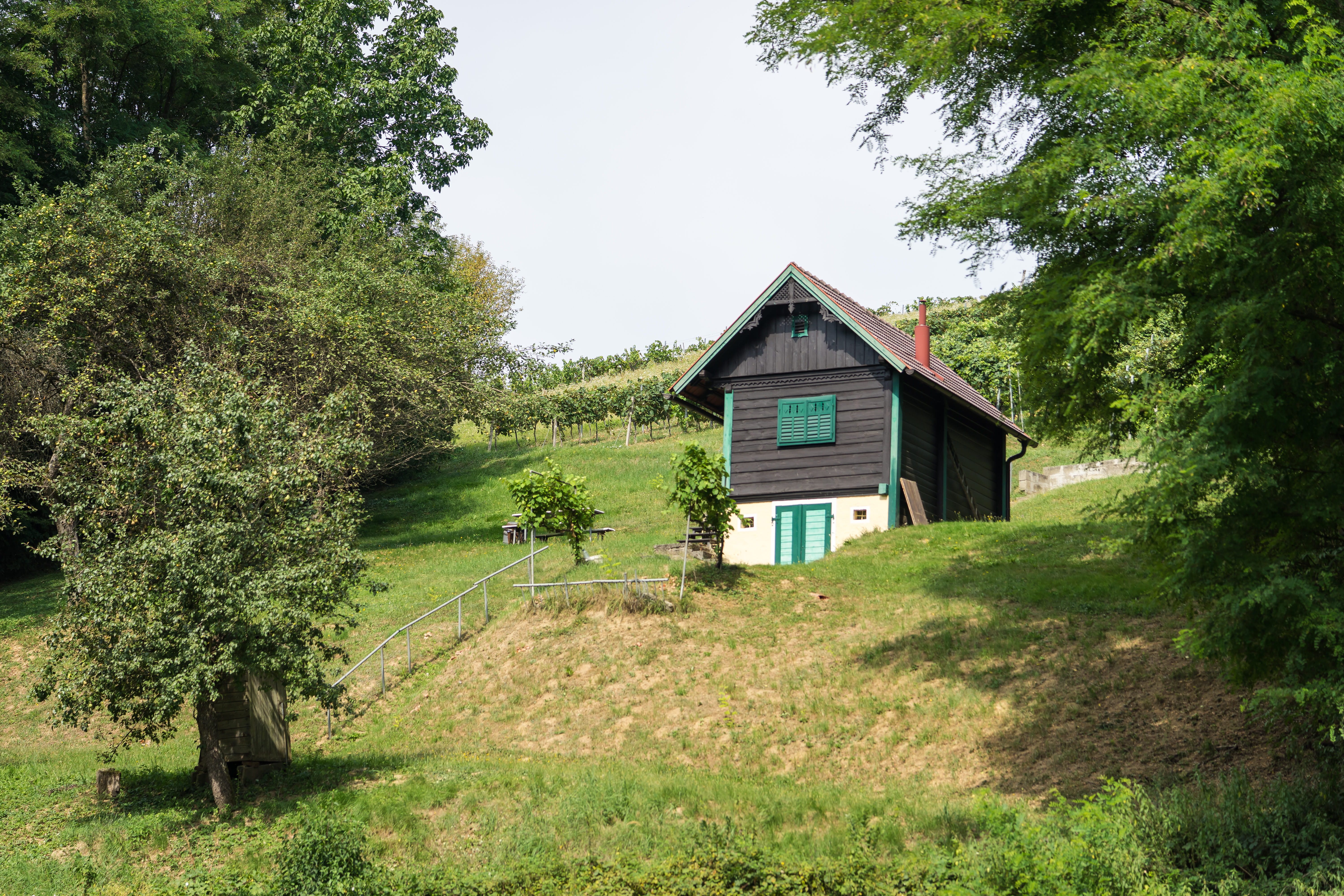 plant, no people, sky, cabin, historic, built structure, nature, heiligenbrunn zollhaus, day, building, outdoors, land, grape, wood - material, growth, HD Wallpaper