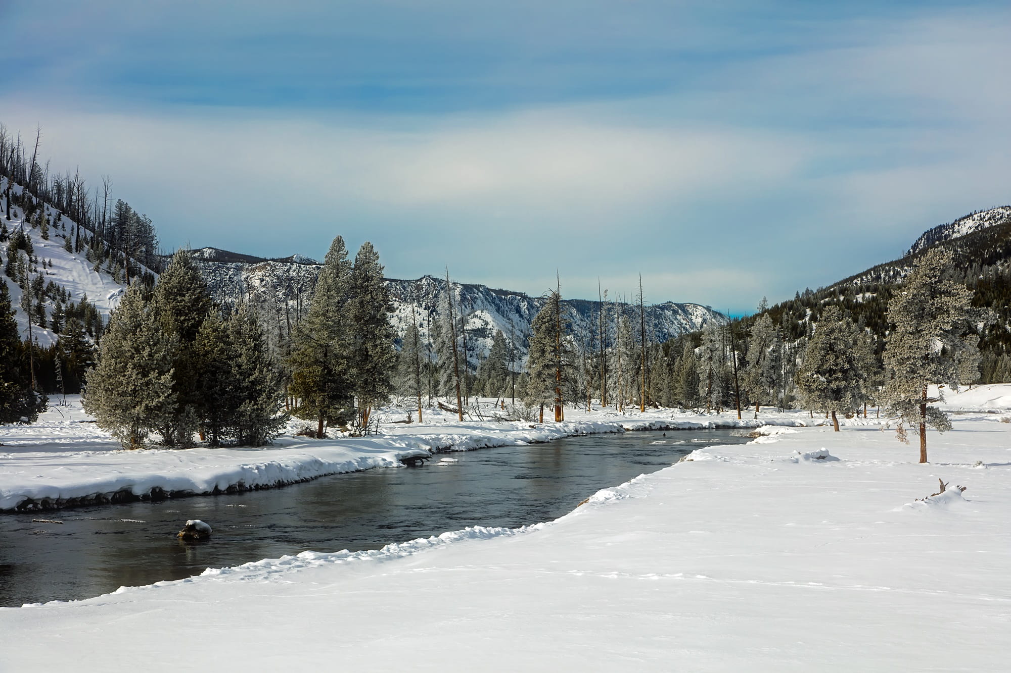 white, 1080P, cloud - sky, country, tranquil scene, non-urban scene, frost, meadow, rural, wyoming, snow, forest, ice, national park, day, cold - Temperature, HD Wallpaper