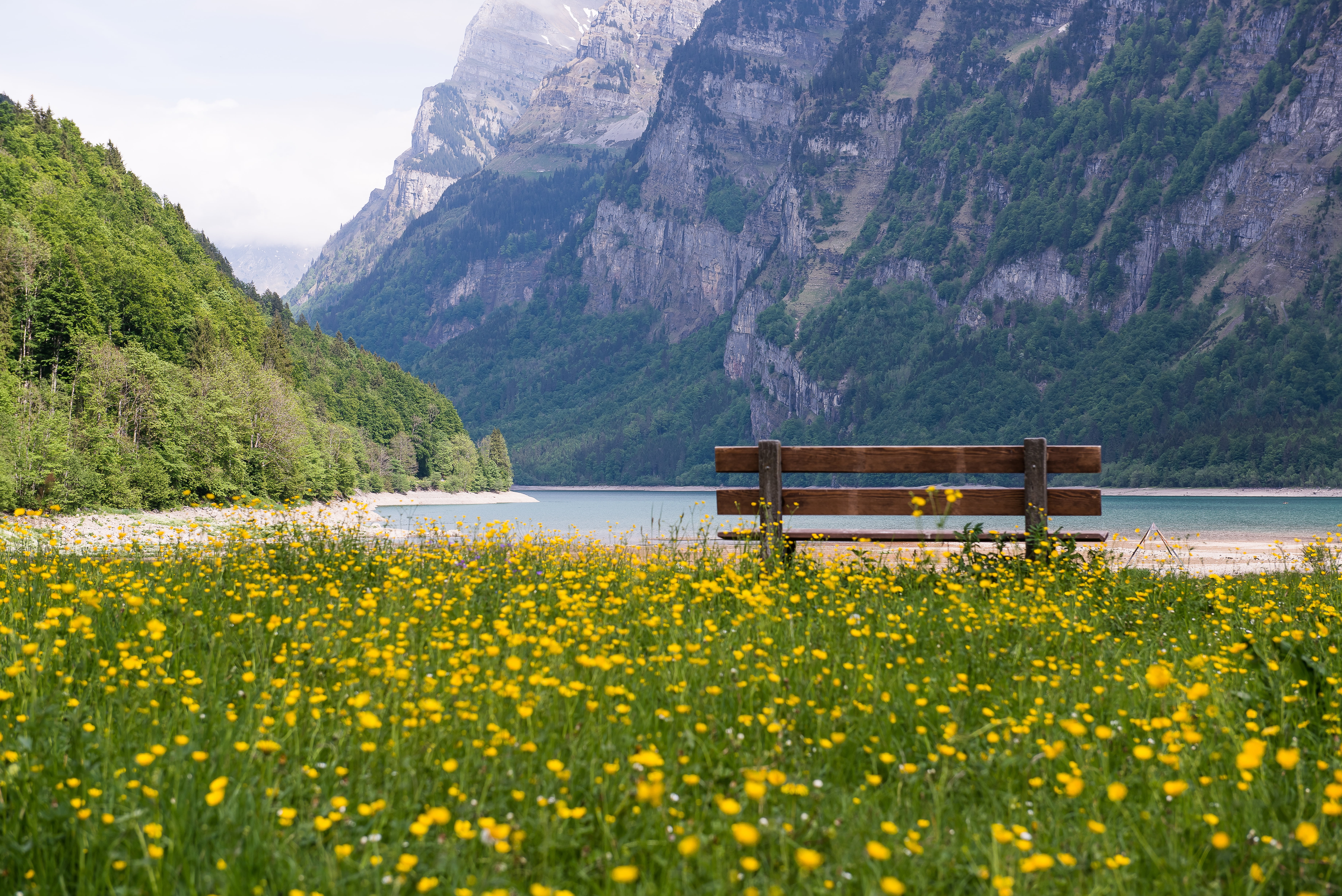 non-urban scene, boat, lake, environment, flowering plant, swiss, springtime, mountain, eat, holiday, tranquility, yellow, mountain range, nature, beauty in nature, HD Wallpaper