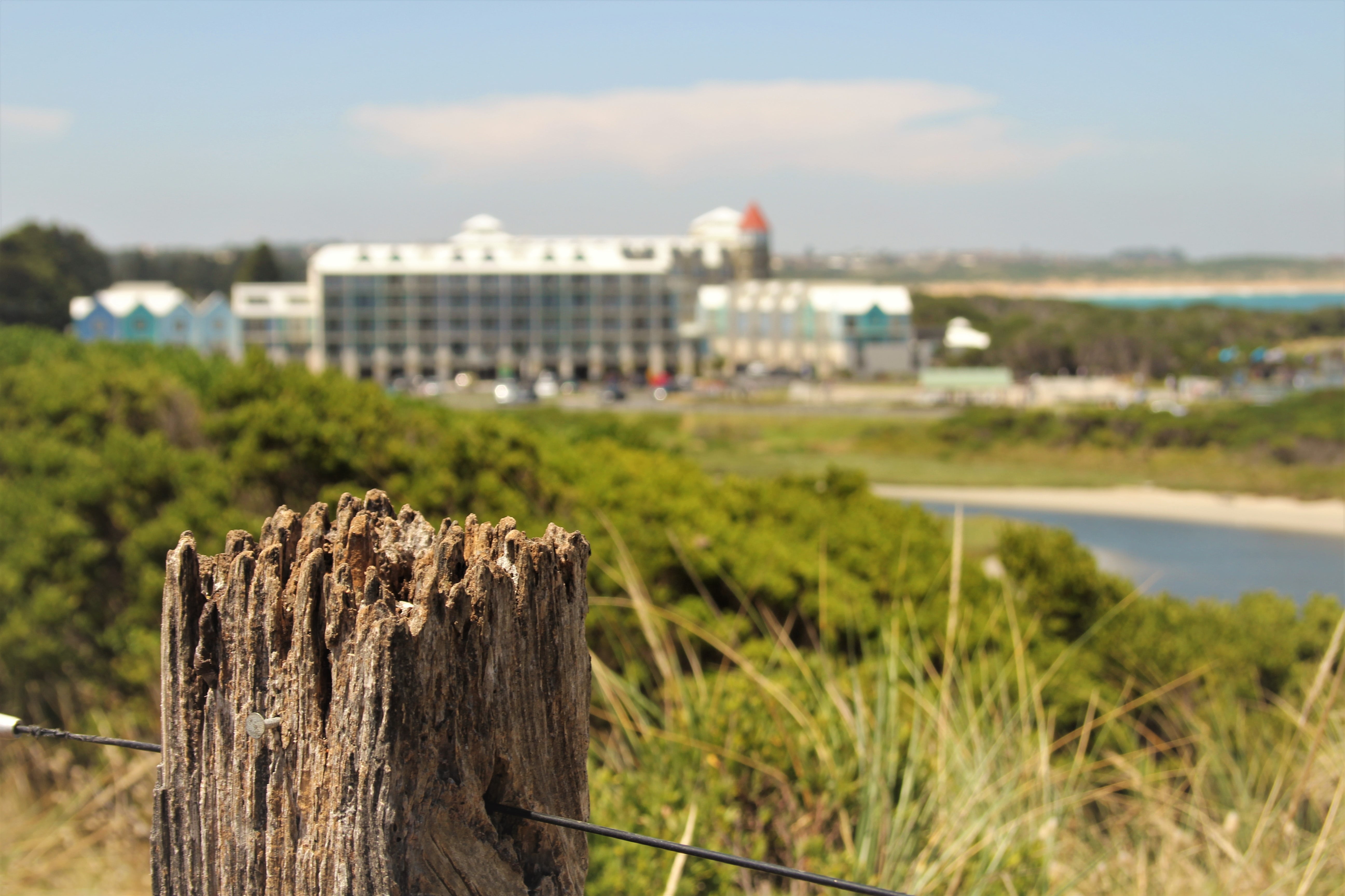bark, boundary, wooden post, wood - material, no people, summer, beach, plant, warrnambool, water, focus on foreground, building exterior, architecture, HD Wallpaper