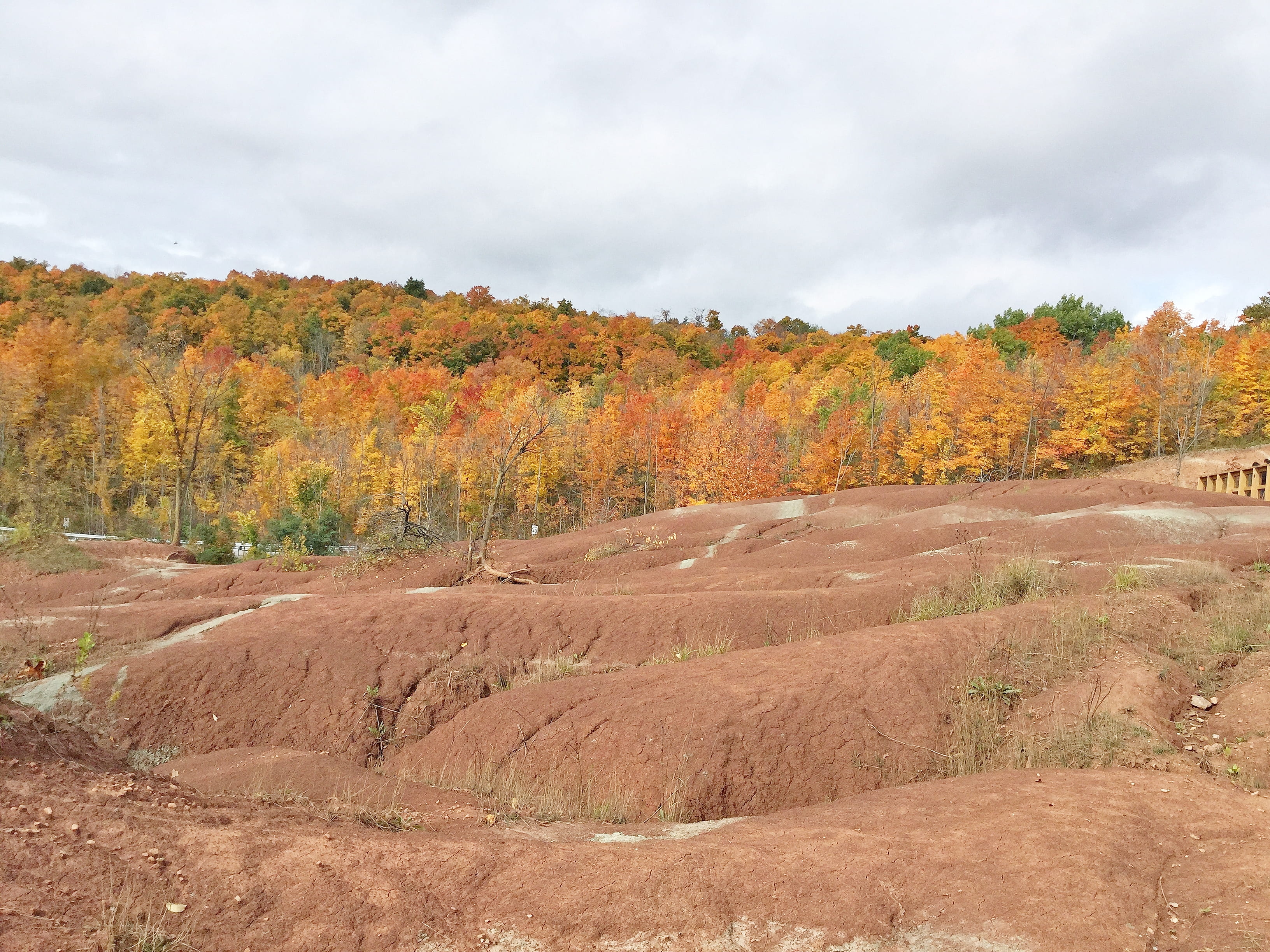 2K, road, beauty in nature, cheltenham badlands, autumn, environment, sky, plant, dirt road, canada, growth, landscape, wilderness, ontario, grassland, HD Wallpaper