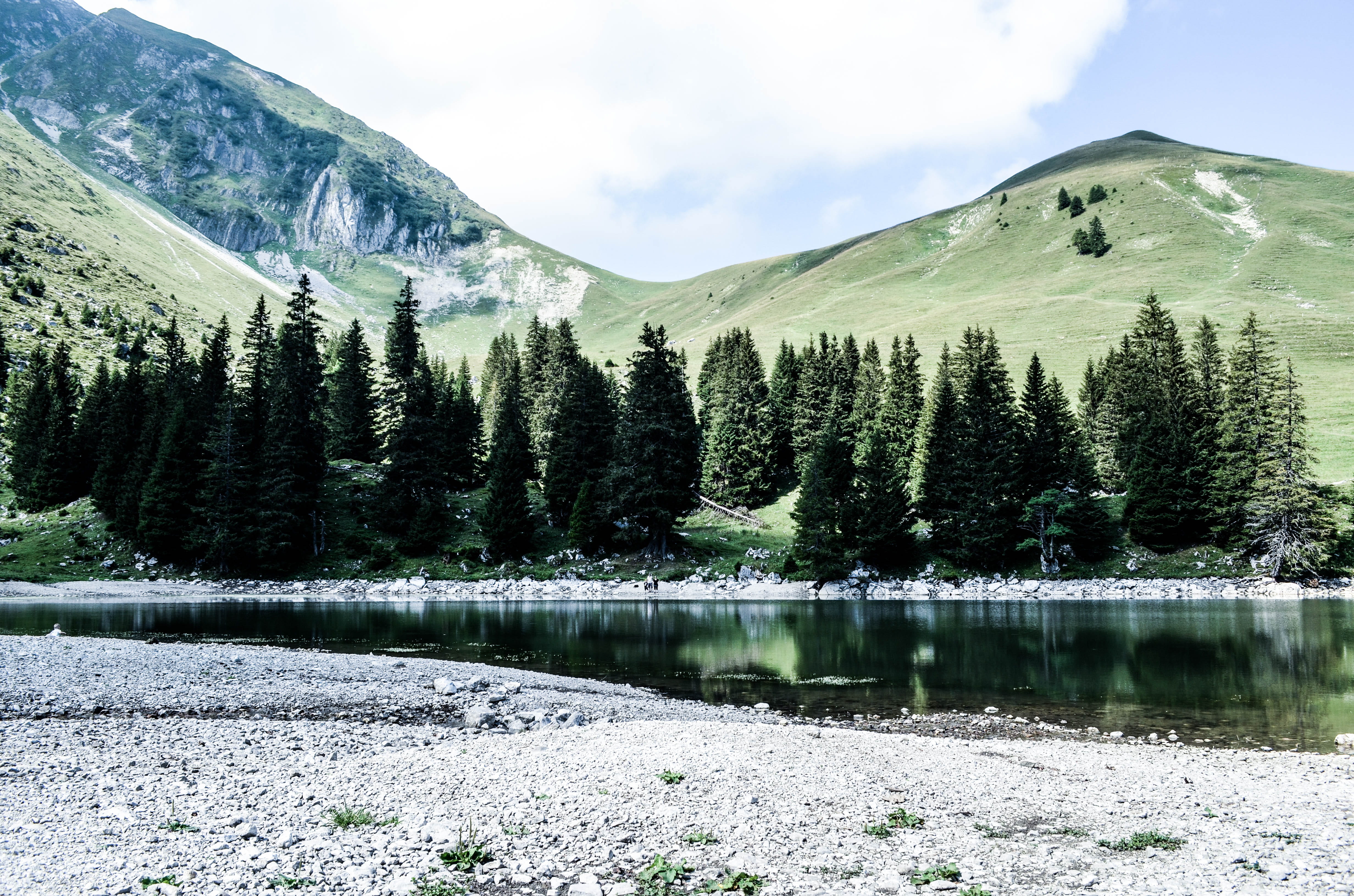 no people, abies, mountain, mountain range, fir, tranquility, scenics - nature, sky, outdoors, forest, water, river water, landscape, gantrischseeli, hillside, HD Wallpaper