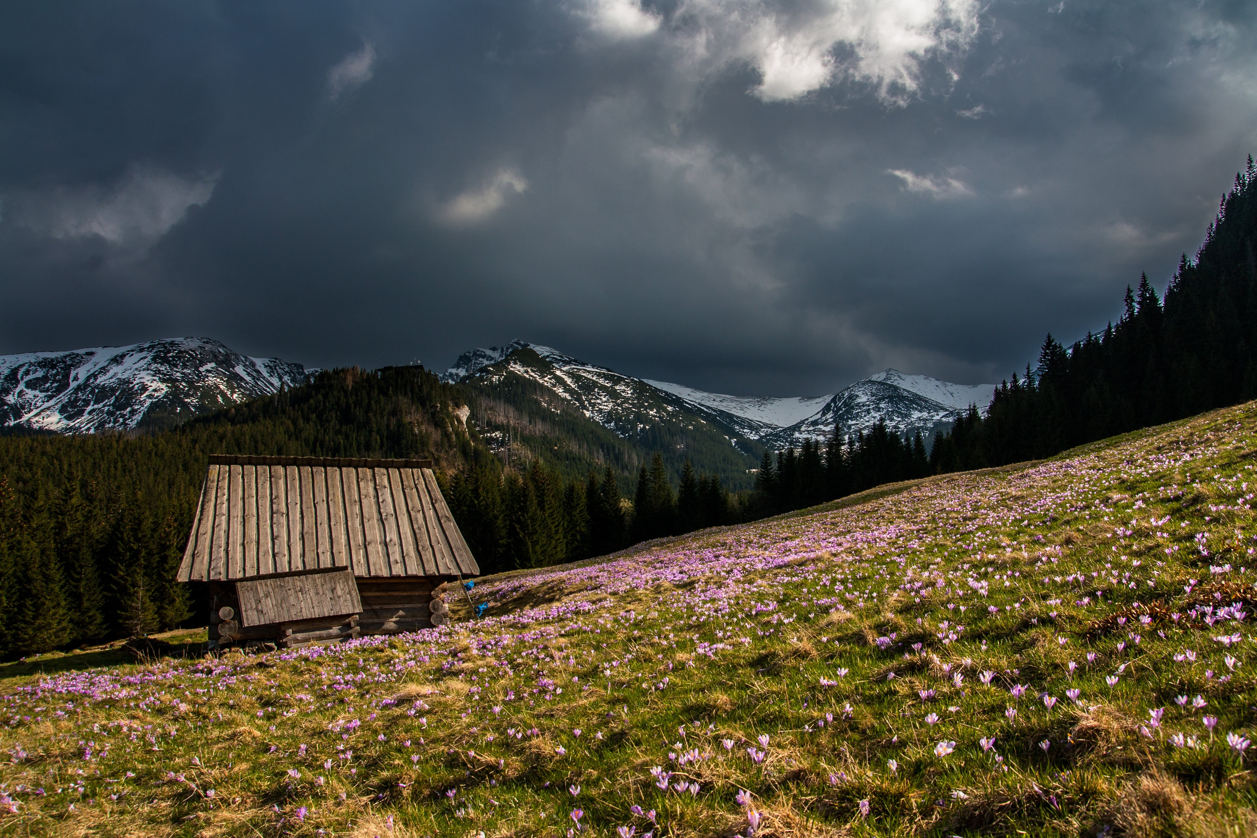 mountain range, environment, storm cloud, 4K, architecture, alps, landscape, scenics - nature, wooden, cloud - sky, hut, hike, built structure, hillside, HD Wallpaper