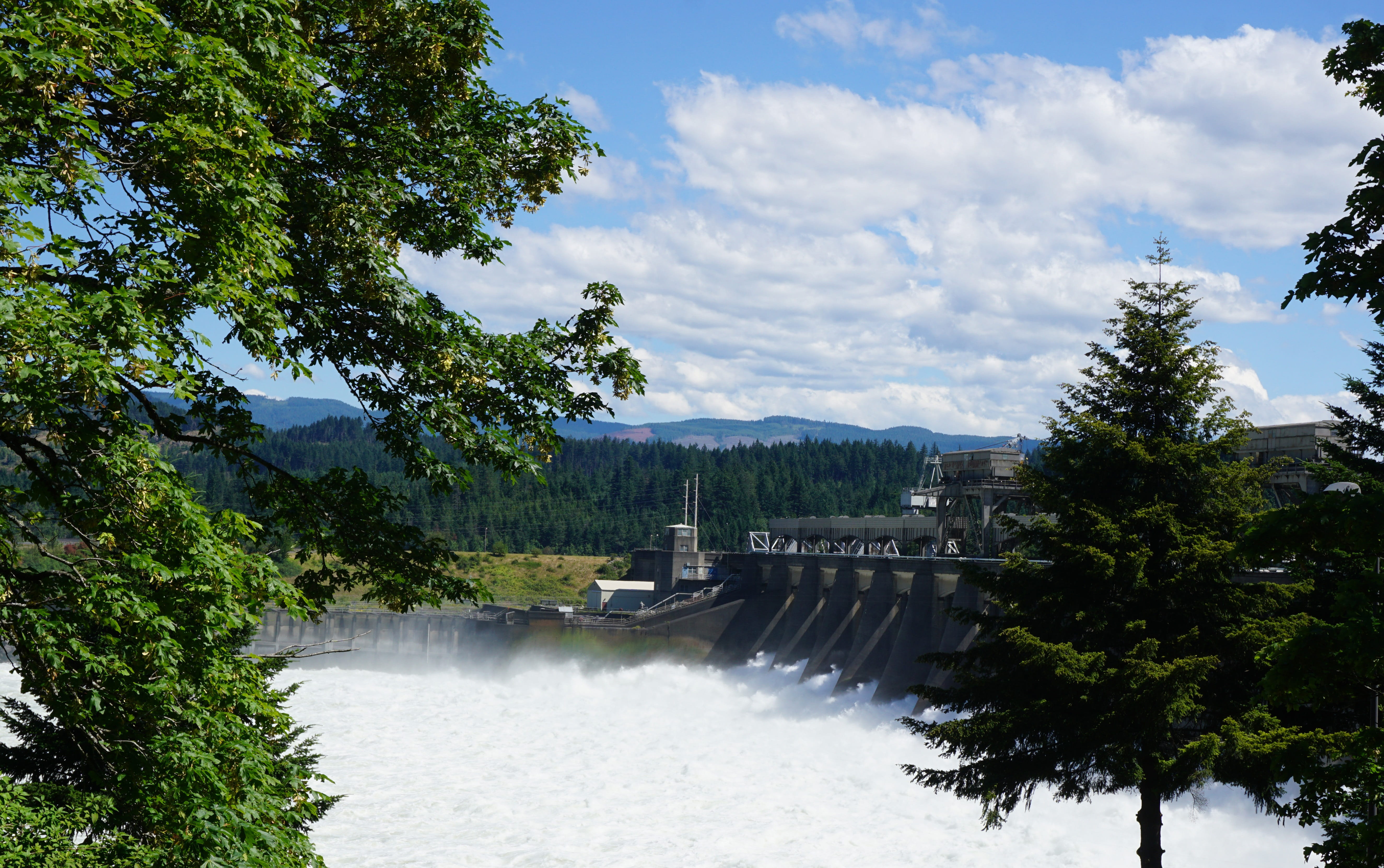 scenics - nature, pacific nw, columbia, river, 5K, outdoors, tree, water, built structure, architecture, flowing water, motion, nature, power in nature, HD Wallpaper