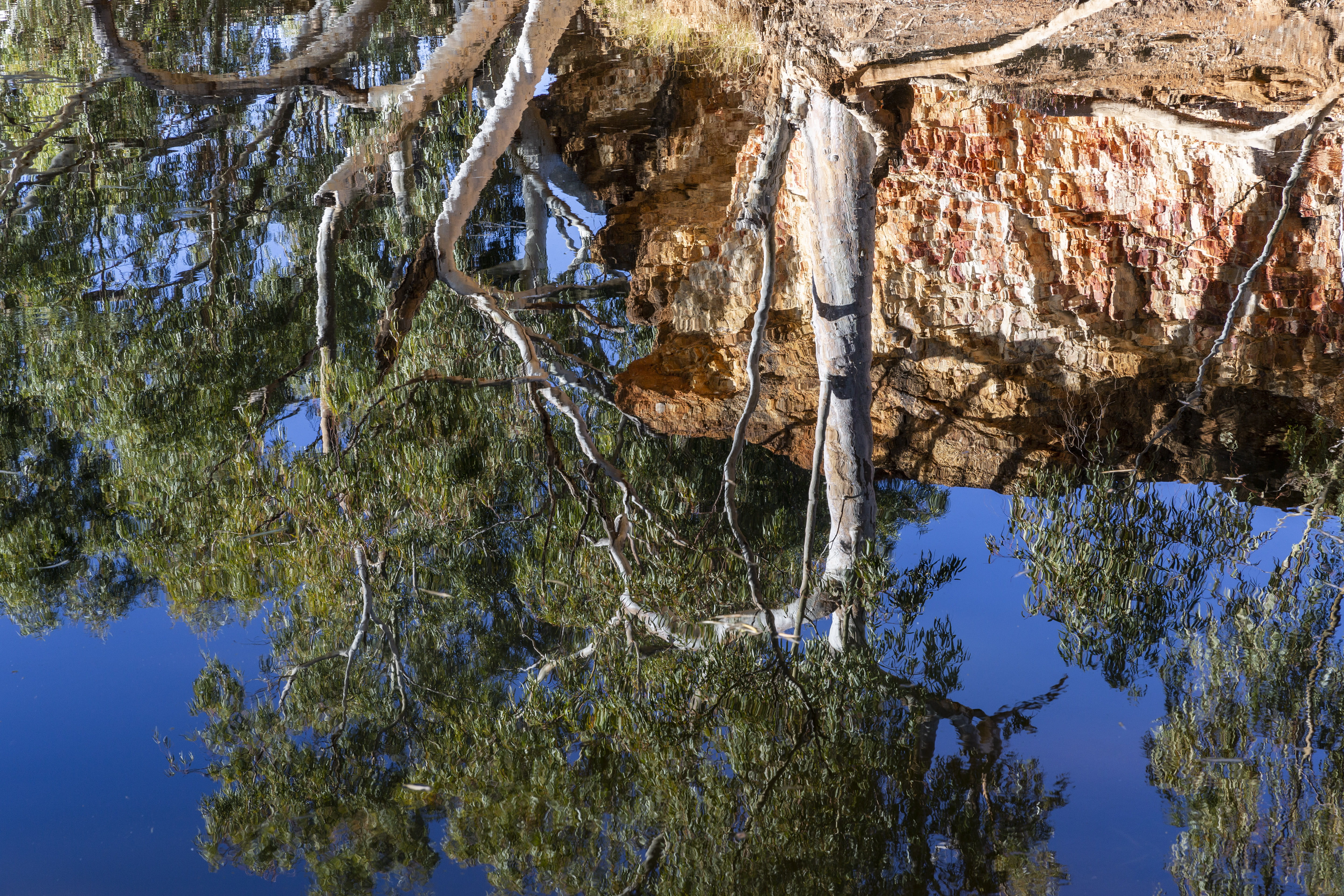 water, outdoors, low angle view, rock formation, rock, bilung pool, plant, solid, animal themes, tree, rock - object, growth, day, sunlight, australia, HD Wallpaper