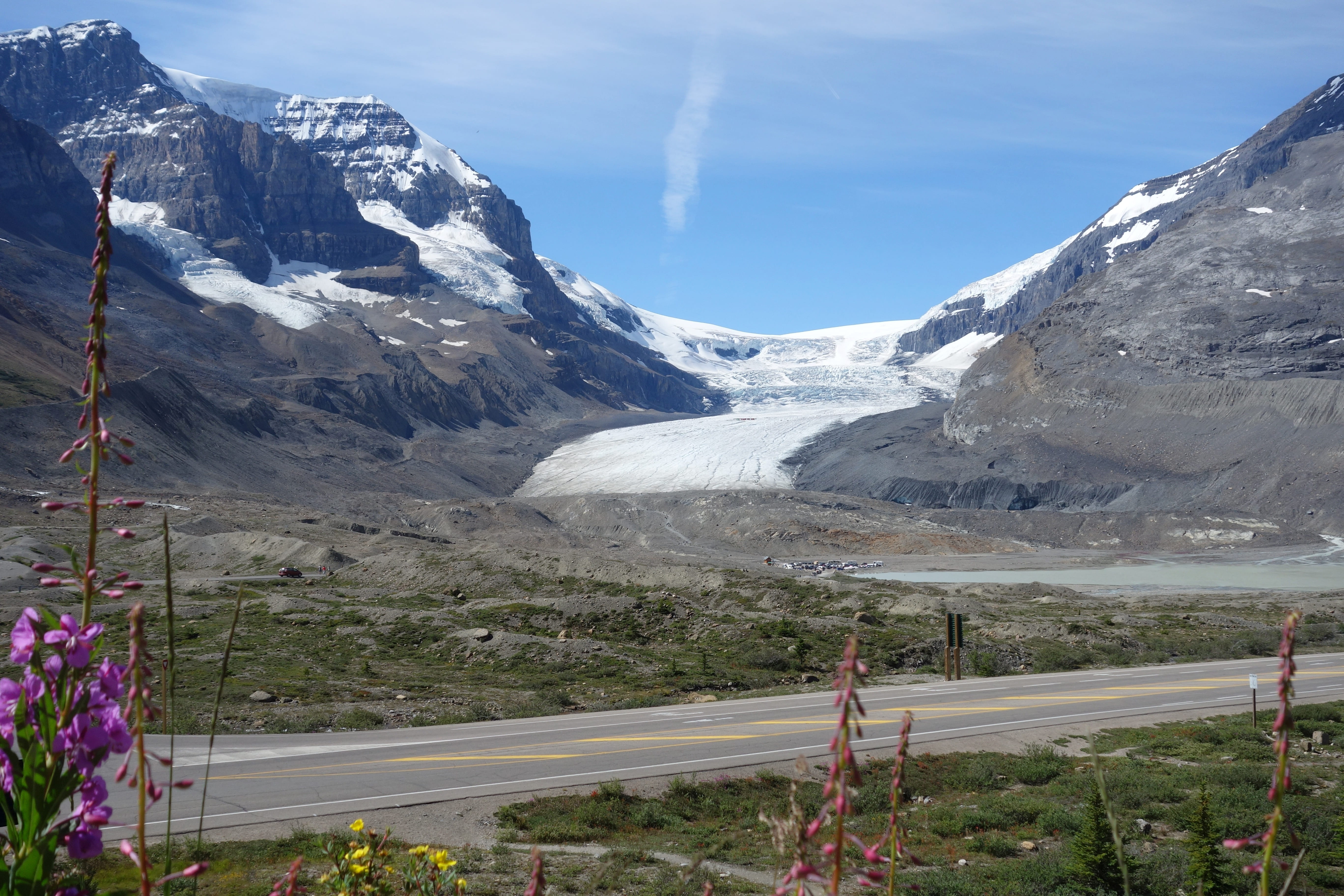 tranquil scene, mountains, mountain range, snow, snowcapped mountain, winter, glacier, environment, canada, icefield, beauty in nature, plant, tranquility, HD Wallpaper