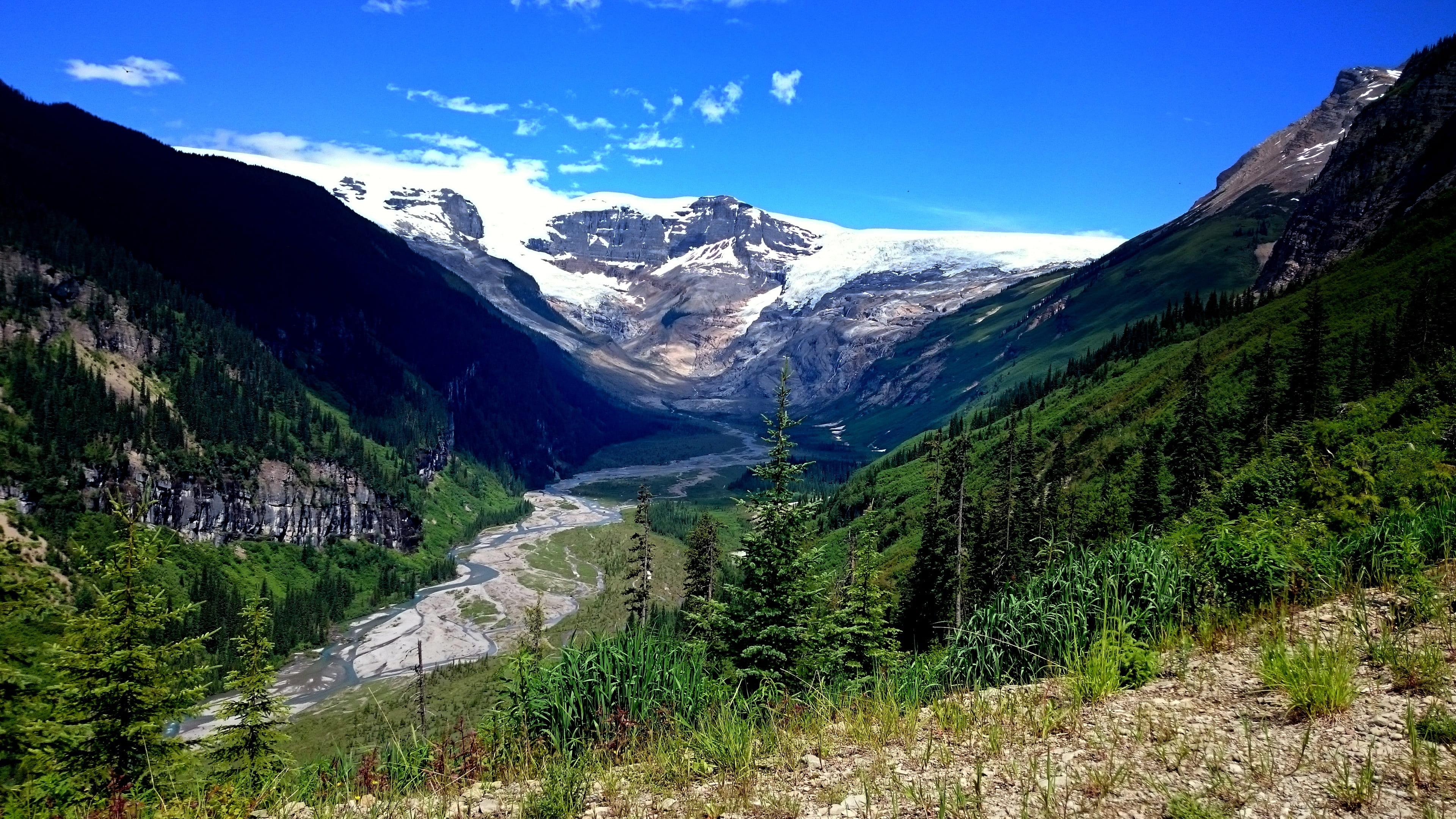 tranquility, coniferous tree, cold temperature, tree, travel destinations, glacier, beauty in nature, snowcapped mountain, snow, scenic, columbia icefields, HD Wallpaper