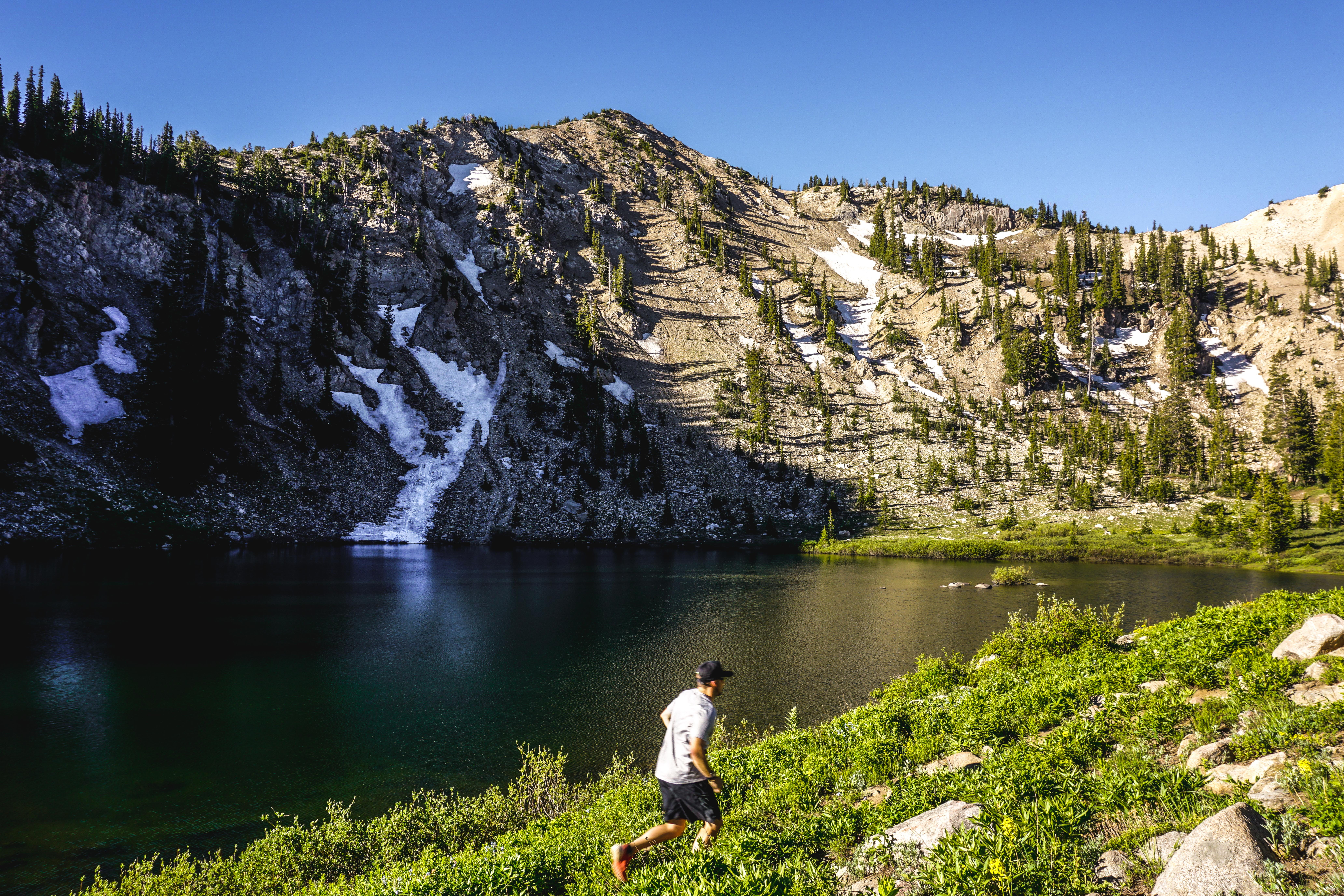 adult, nature, summer, tranquility, water, outdoors, trailrunning, activity, peak, summit, running, plant, men, non-urban scene, tree, 8K, one person, HD Wallpaper