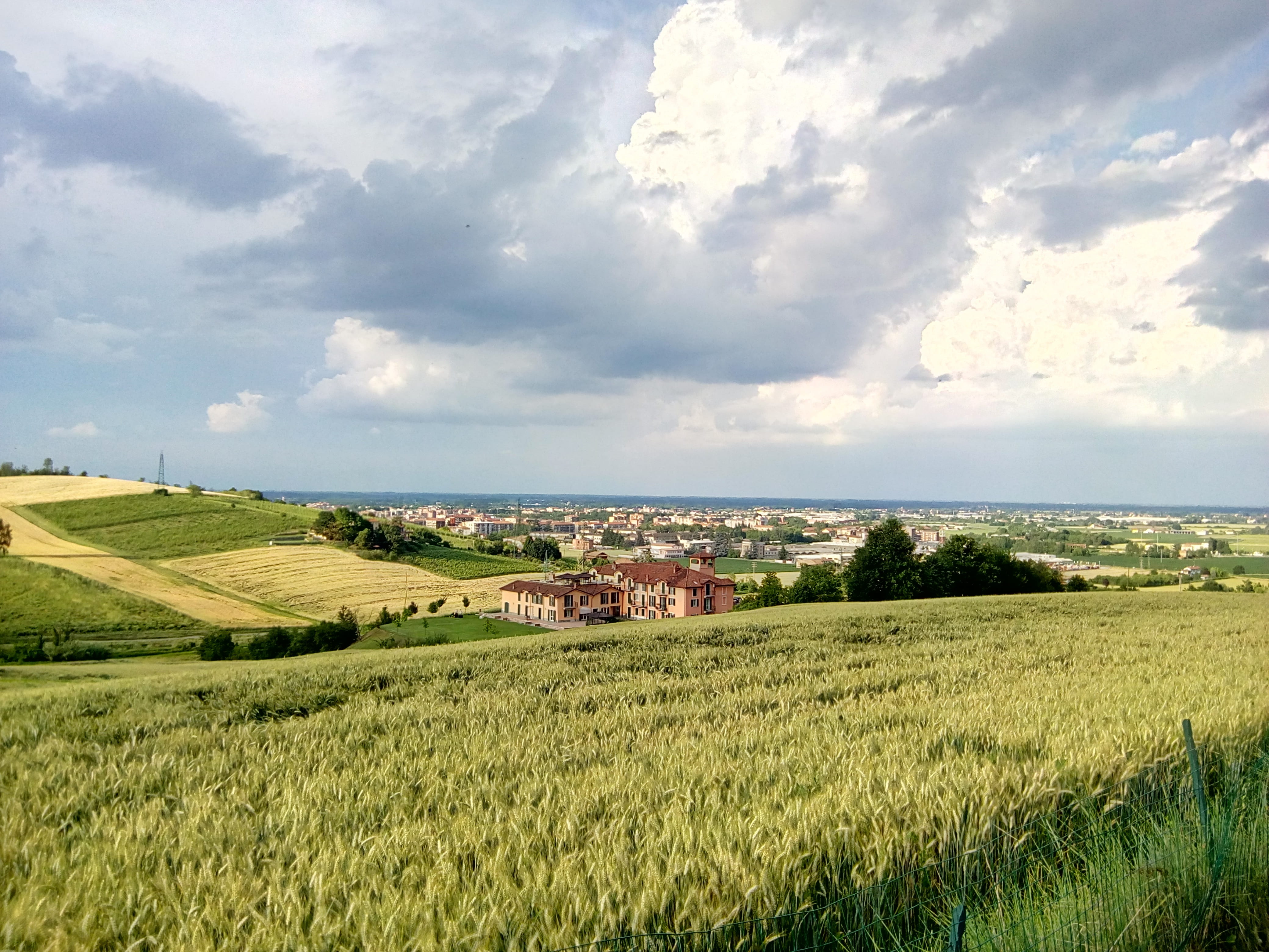 fields, hills, environment, monferrato, nature, crop, green, built structure, Clouds, campaign, growth, agriculture, sky, green color, beauty in nature, HD Wallpaper