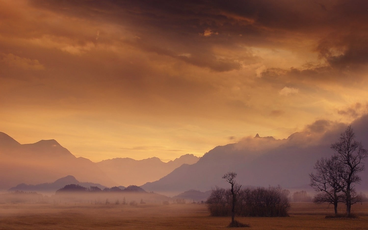 mist, mountain, mountains, outdoors, non-urban scene, trees, golden, landscape, tranquility, idyllic, clouds, cloud - sky, sunset, fog, silhouette, tree, HD Wallpaper