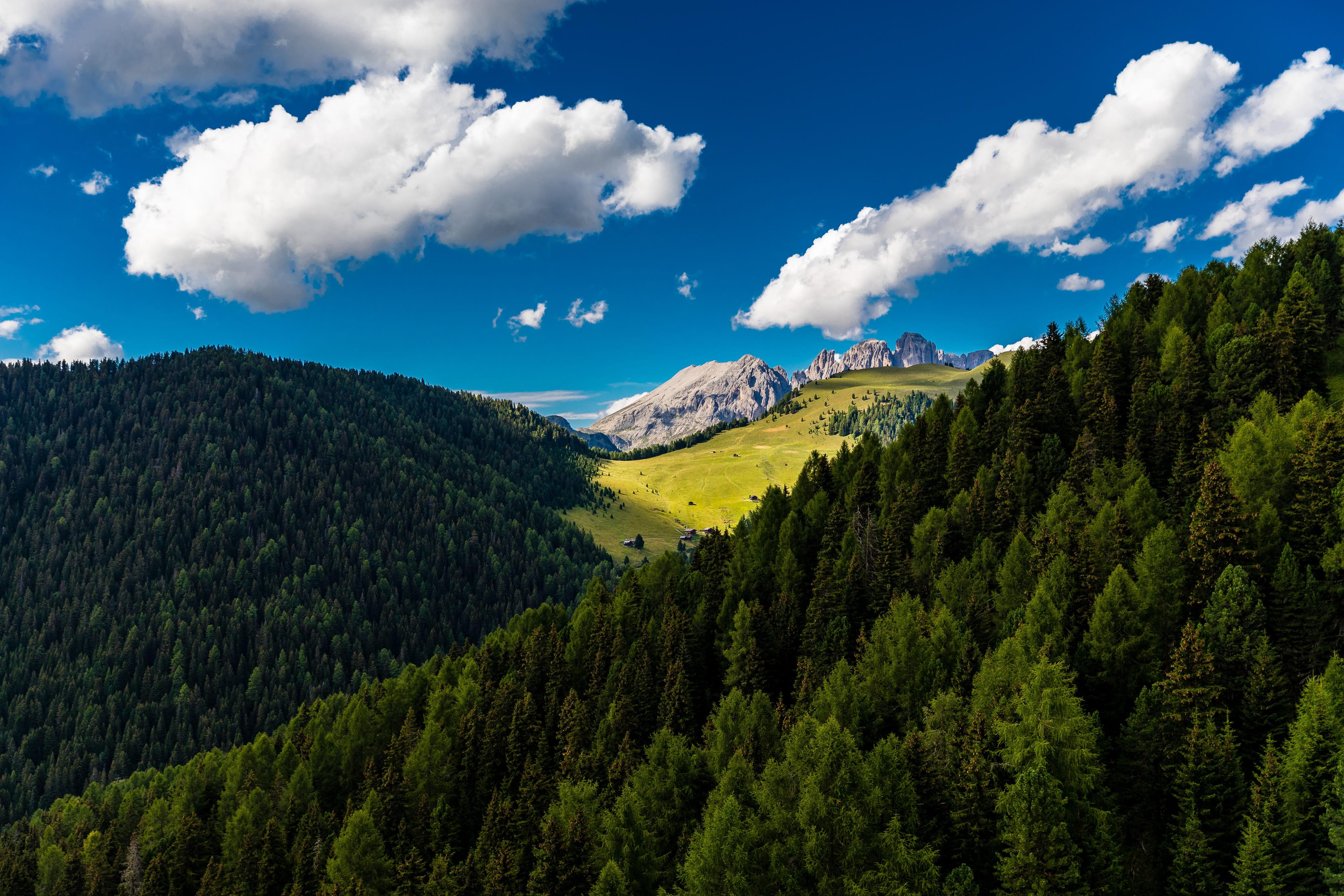 non-urban scene, pine tree, pine woodland, europe, tranquility, environment, italy, coniferous tree, outdoors, daytime, hillside, aerial, alp, scenics - nature, HD Wallpaper