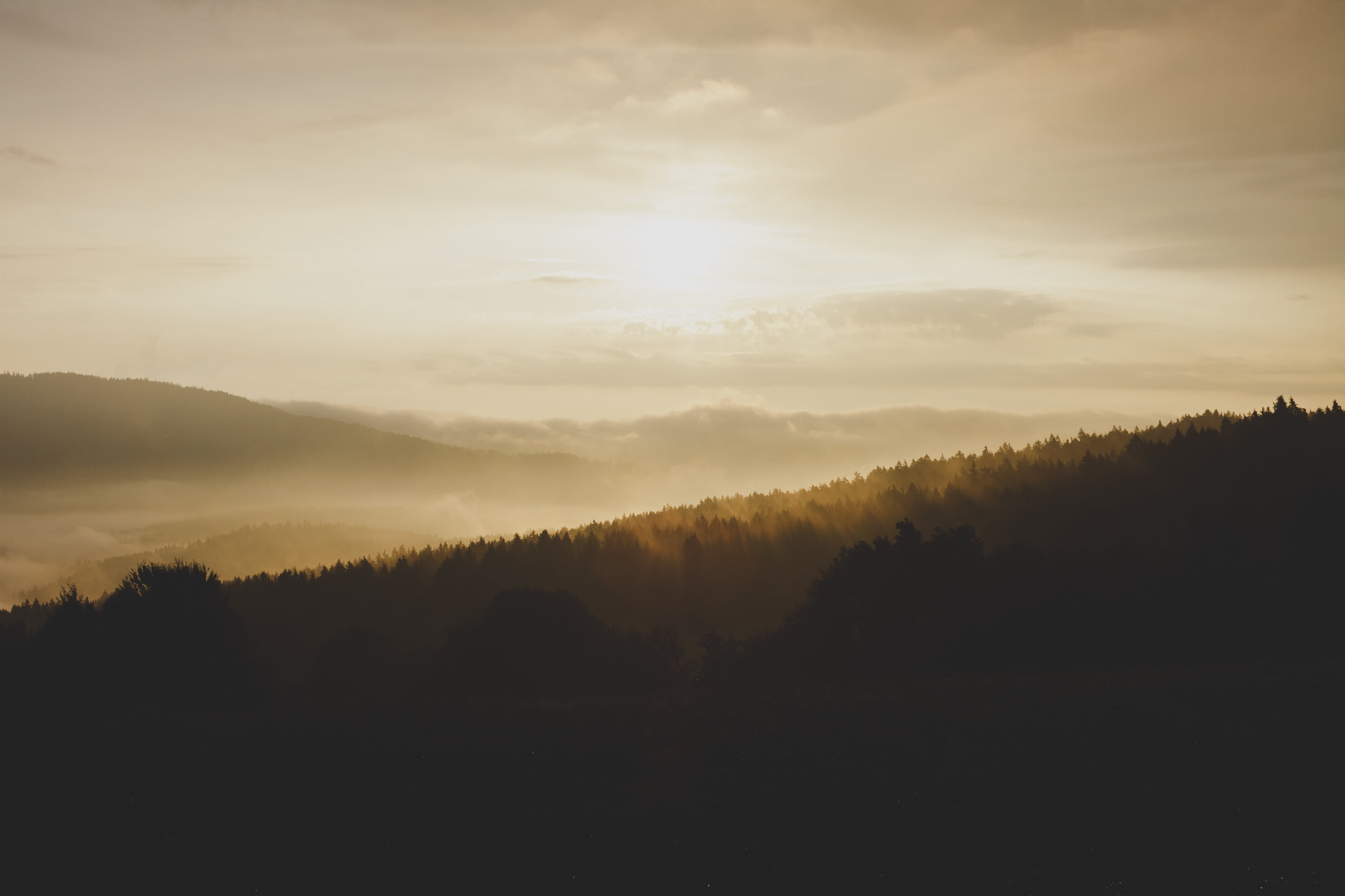 sky, hills, scenics - nature, environment, idyllic, beauty in nature, morning, nature, no people, plant, fog, silhouette, woodland, 2K, non-urban scene, HD Wallpaper