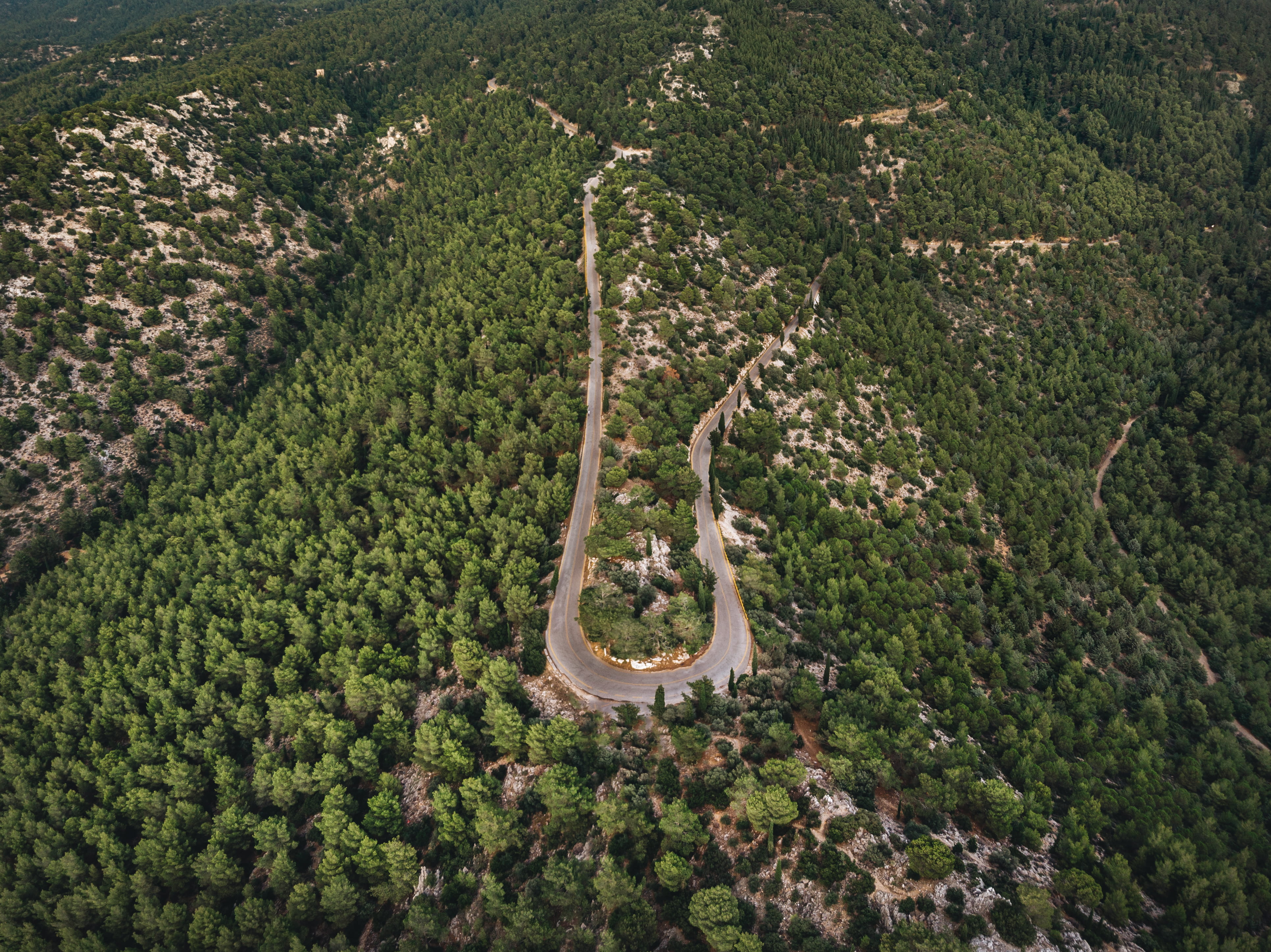 sky, aerial View, relax, tree, scenics, high Angle View, street, journey, good, wanderlust, nature, outdoors, forest, tourism, travel, curve, landscape, HD Wallpaper