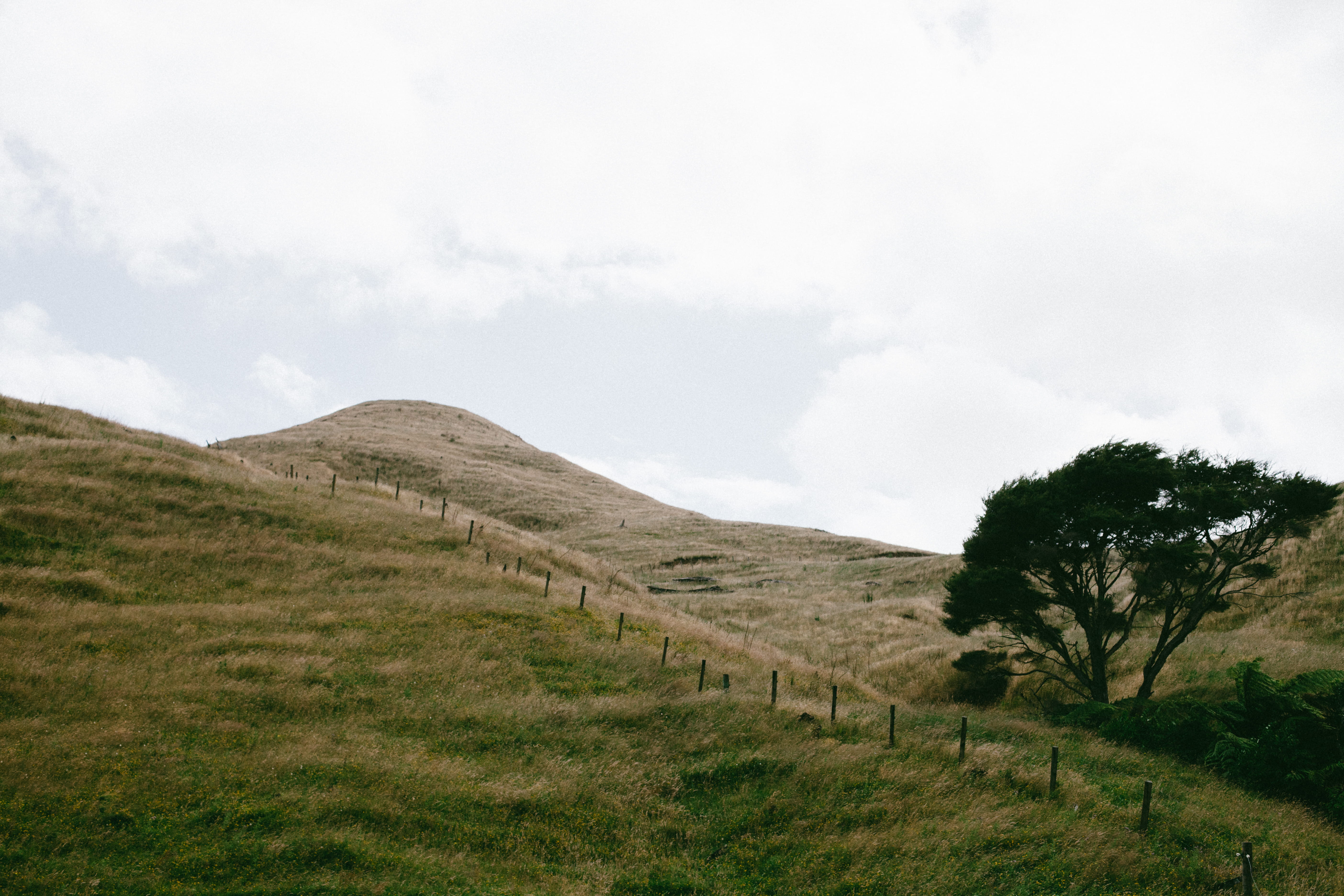 environment, cloud - sky, kawhia road, nature, outdoors, non-urban scene, scenics - nature, tranquil scene, sky, green color, rural, grass, road trip, tranquility, HD Wallpaper