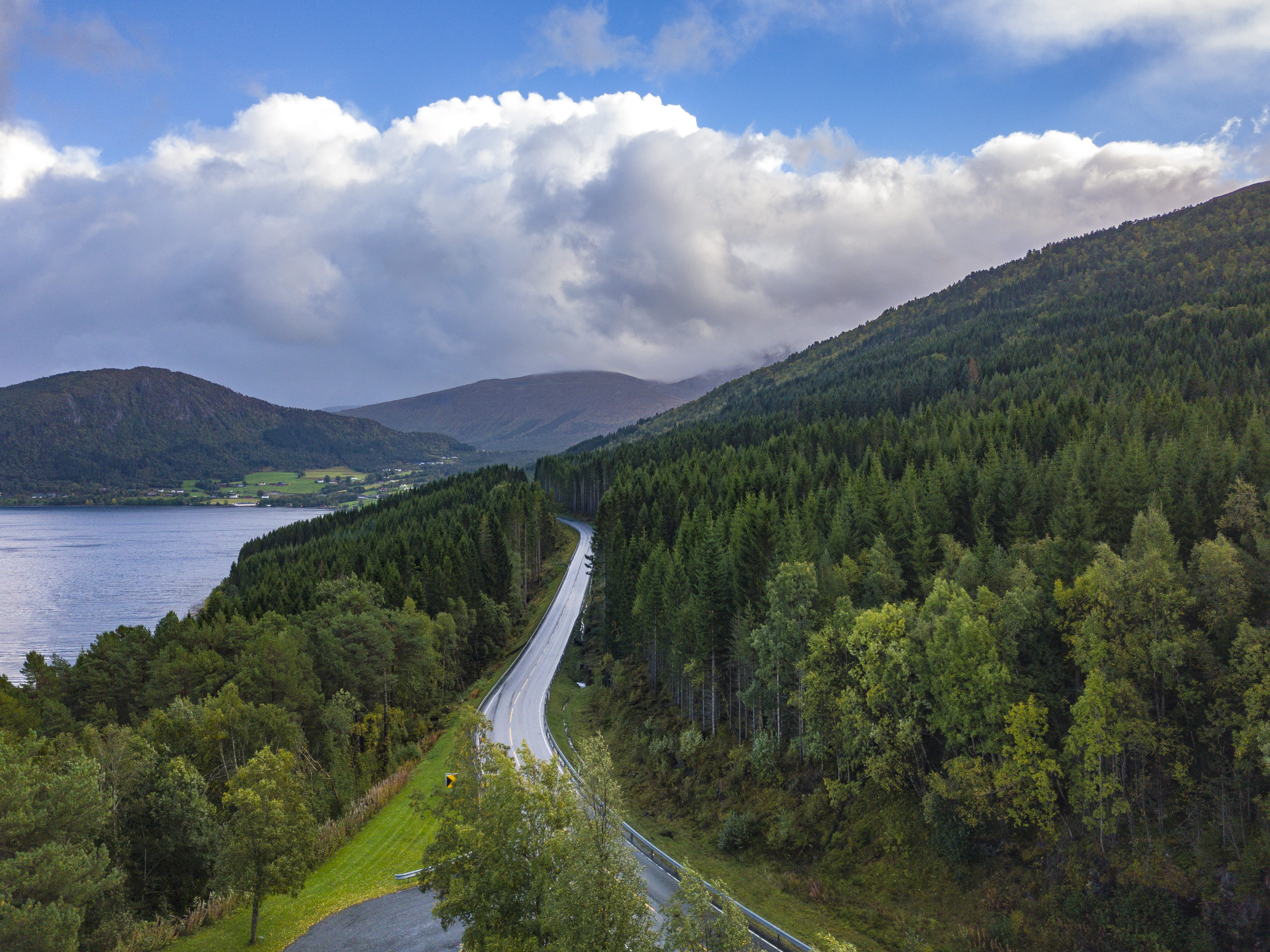 non-urban scene, outdoor, no people, trees, hillside, green, outdoors, treetop, tranquility, road, tree, bend, landscape, e136, norway, plant, from above, HD Wallpaper