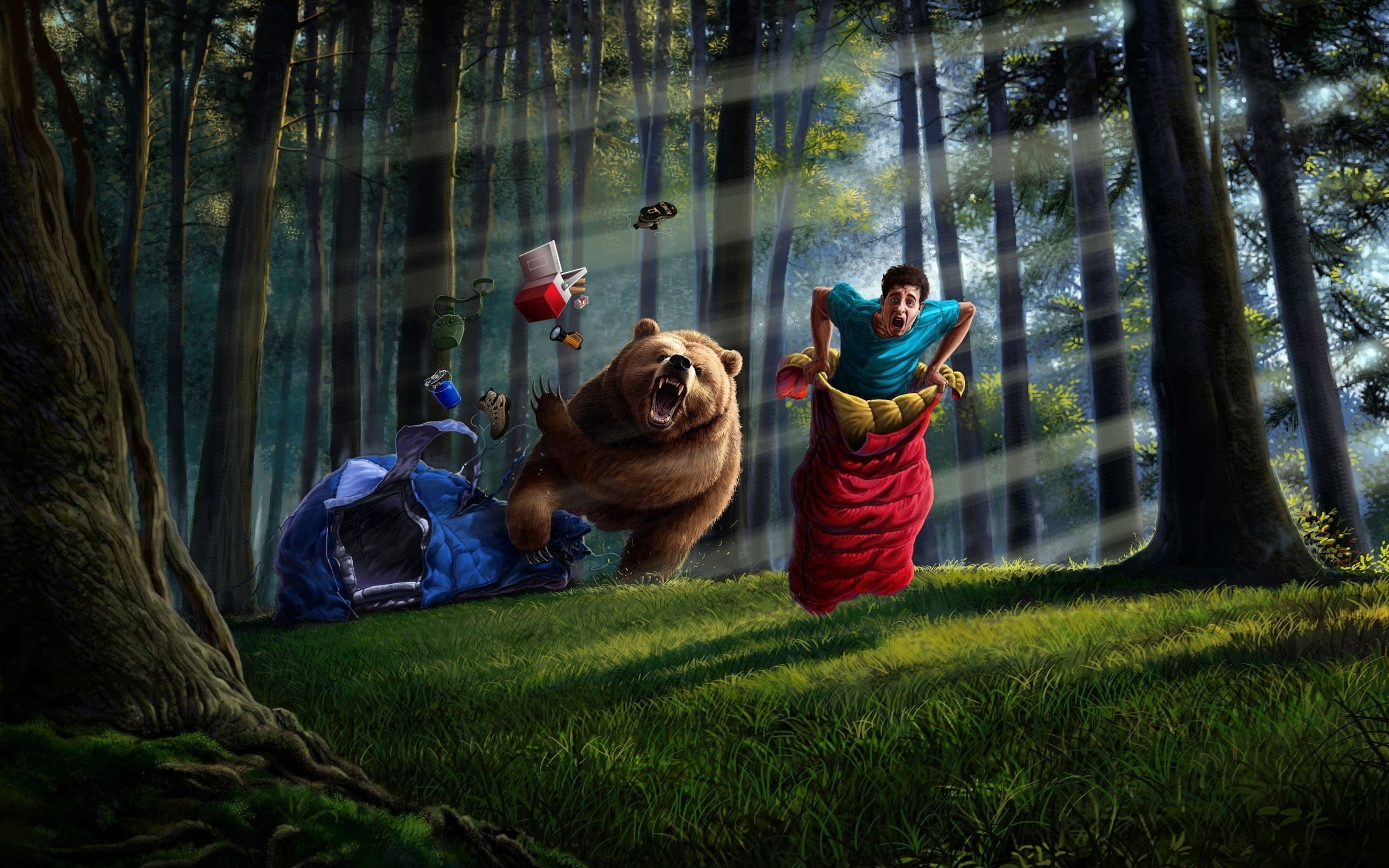 bag, forest, man, things, 2K, bear, sleeping, art, tent, HD Wallpaper