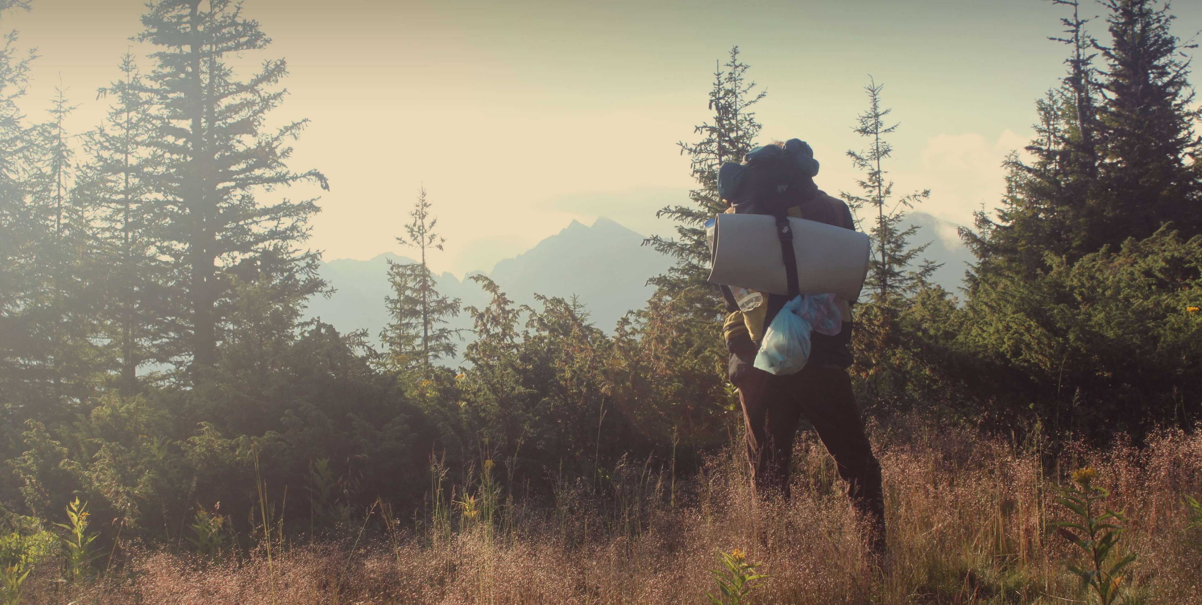 contemplation, casual clothing, real people, adult, tree, lifestyles, nature, wanderlust, sleeping bag, rear view, backpack, leisure activity, standing, HD Wallpaper