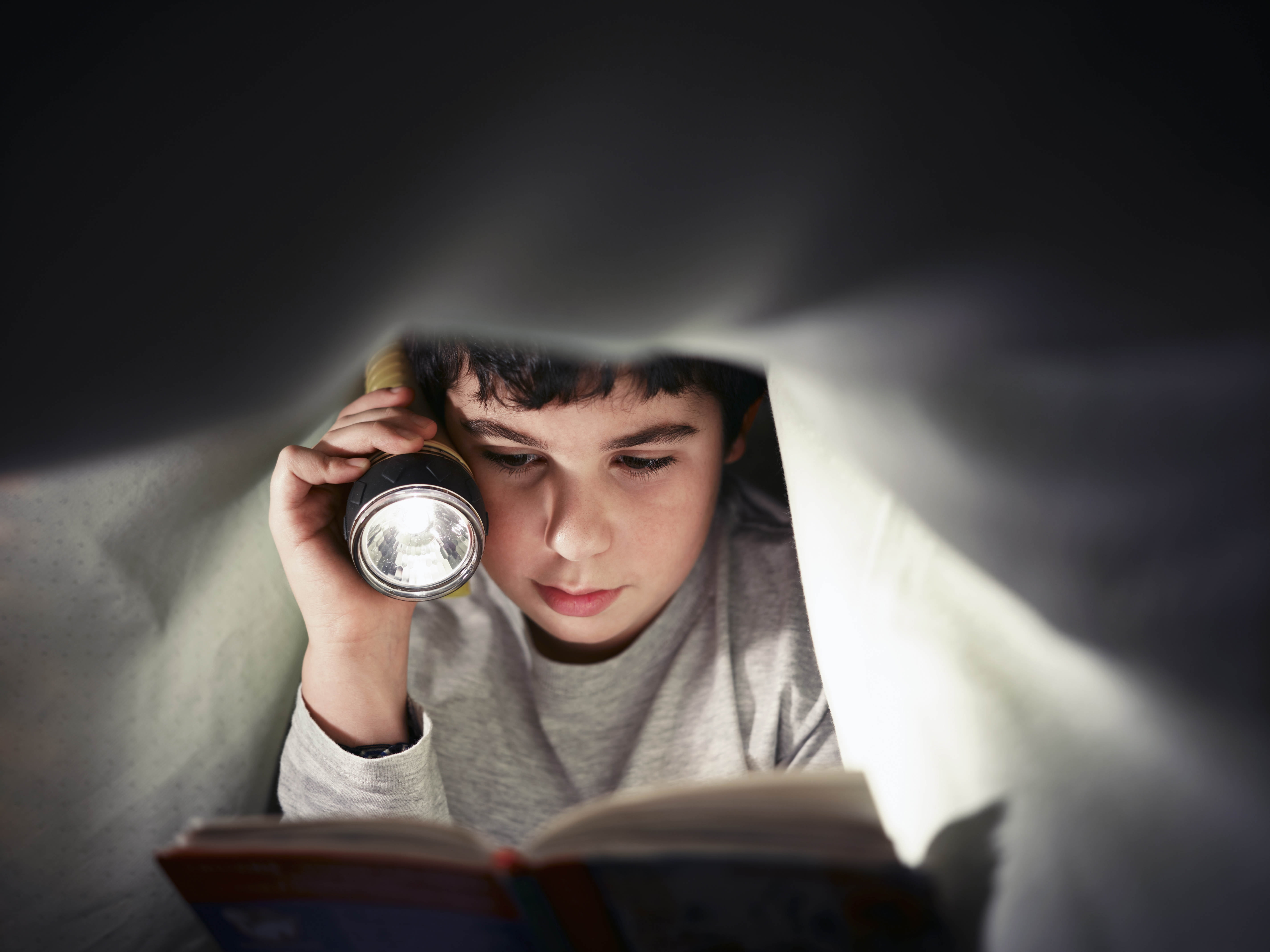 morning, holding, activity, looking, caucasian Ethnicity, people, sadness, headshot, females, loneliness, 5K, adult, teenager, book, males, education, HD Wallpaper