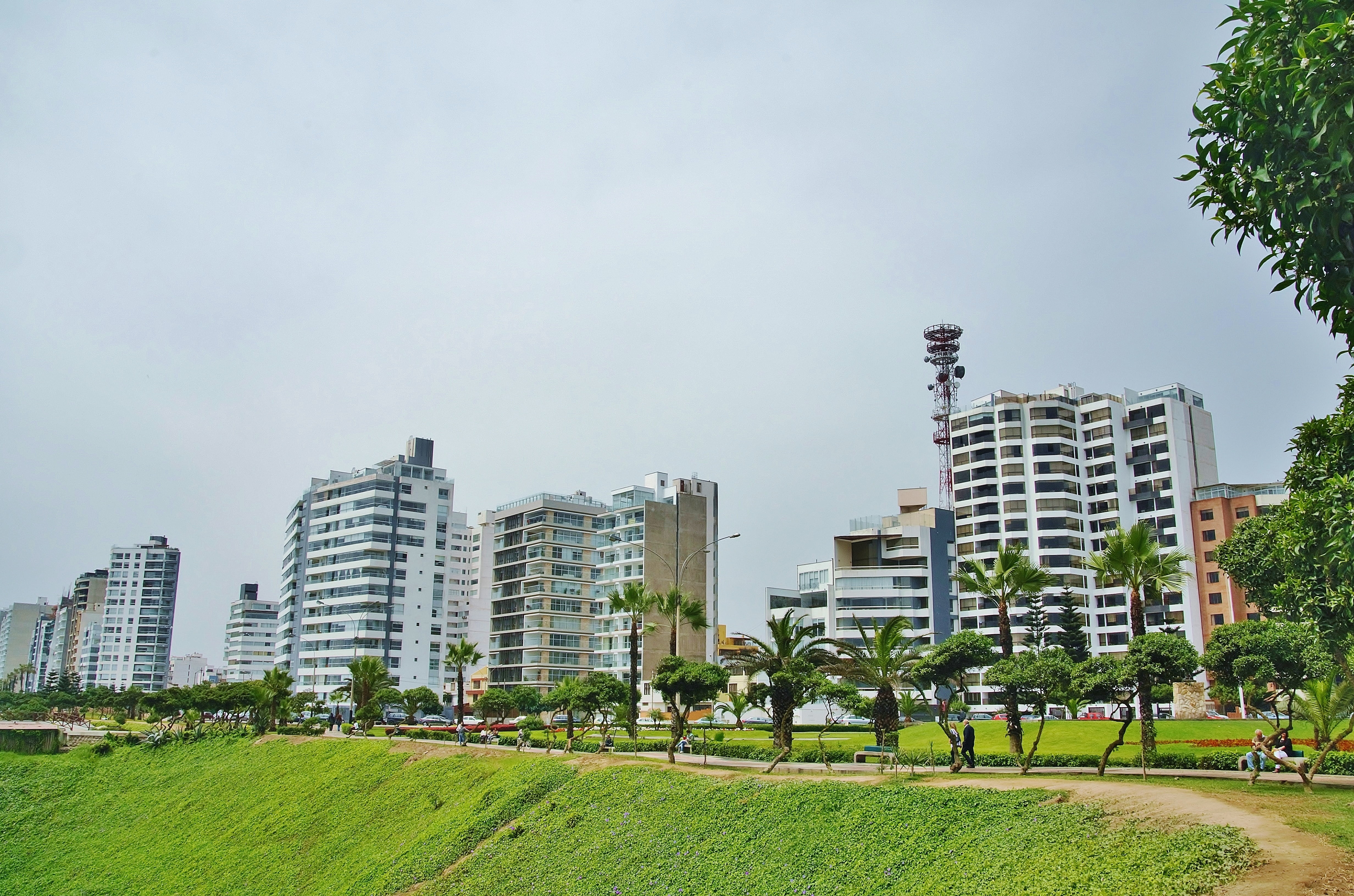 day, malecon, built structure, building, outdoors, buildings, skyscraper, tree, urban skyline, 4K, travel destinations, sky, green color, nature, city, HD Wallpaper