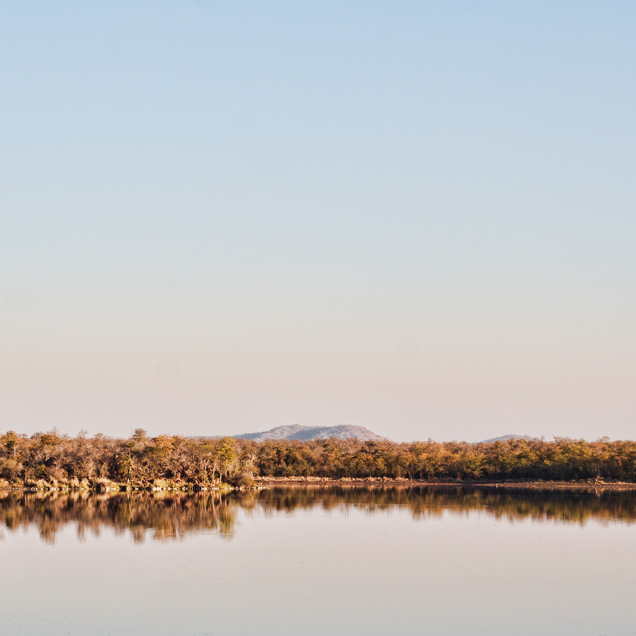 photography, plant, reflections, day, lake, copy space, canoneos350d, non-urban scene, clear sky, krugernationalpark, 1080P, no people, landscape, water, Phone HD Wallpaper