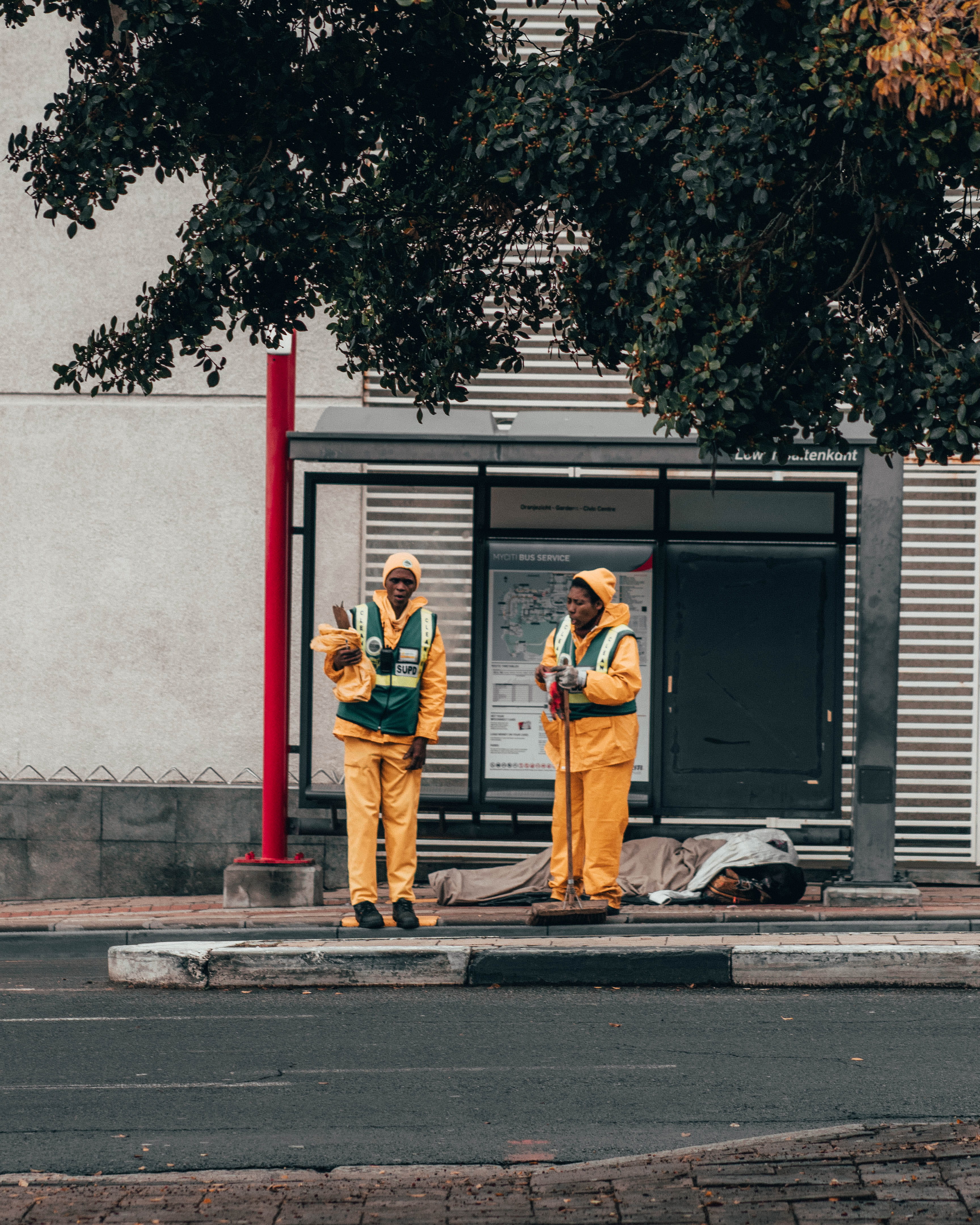 pedestrian, plant, southafrica, road, cape, tree, men, 4K, asphalt, city, capetown, landscape, adult, two people, building exterior, human, architecture, Phone HD Wallpaper