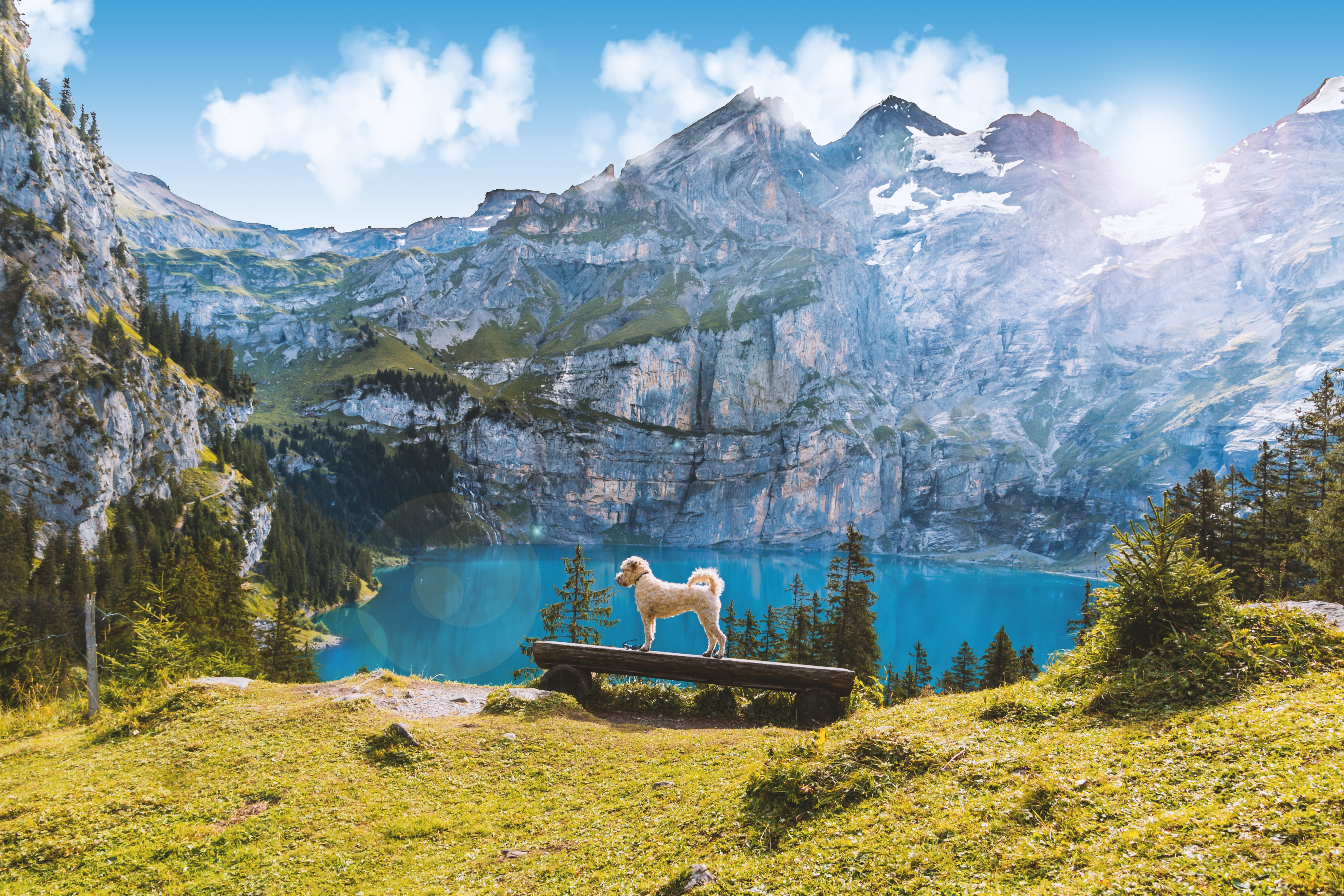 alpine, scenic, scenics - nature, outdoors, tree, white, lake, wood, hike, peaceful, sky, maltese, nature, day, mix, beauty in nature, rest, landscape, HD Wallpaper