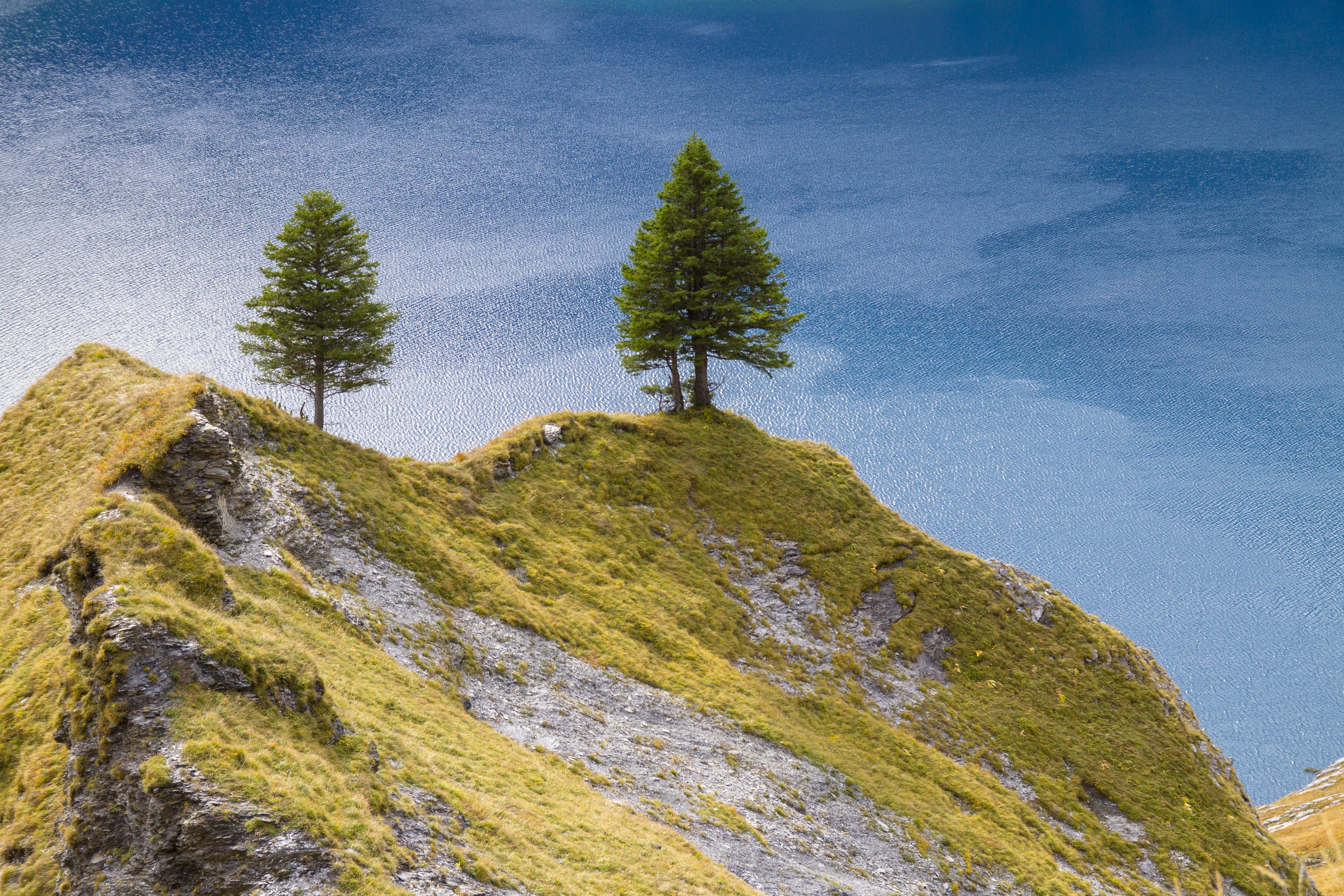 low angle view, tranquility, Lake Oeschinen, day, 4K, green color, mountain peak, no people, rock - object, coniferous tree, nature, hill, beauty in nature, HD Wallpaper