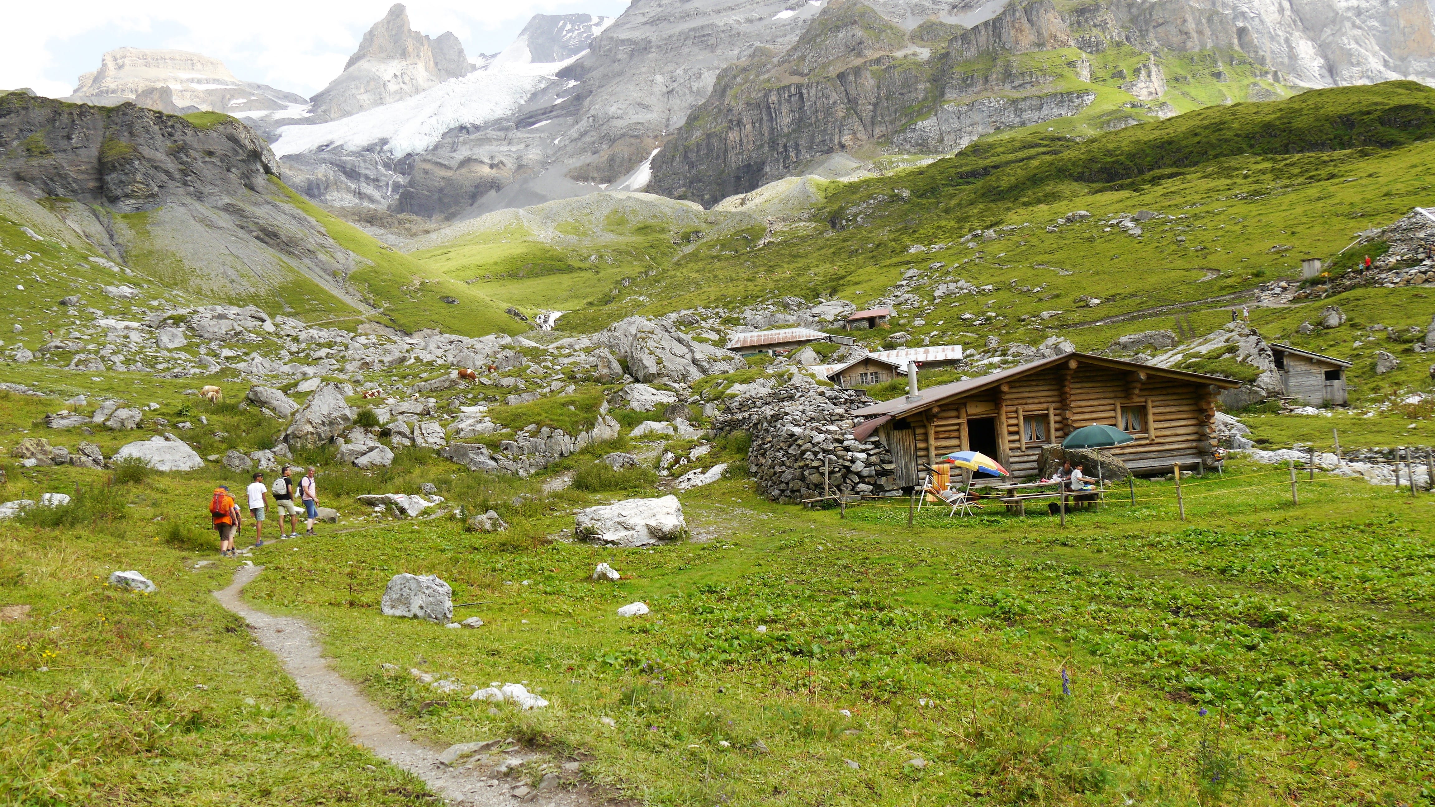plant, architecture, field, mountain, holiday, hiking, background, environment, outdoors, beauty in nature, non-urban scene, green color, kandersteg, 4K, HD Wallpaper