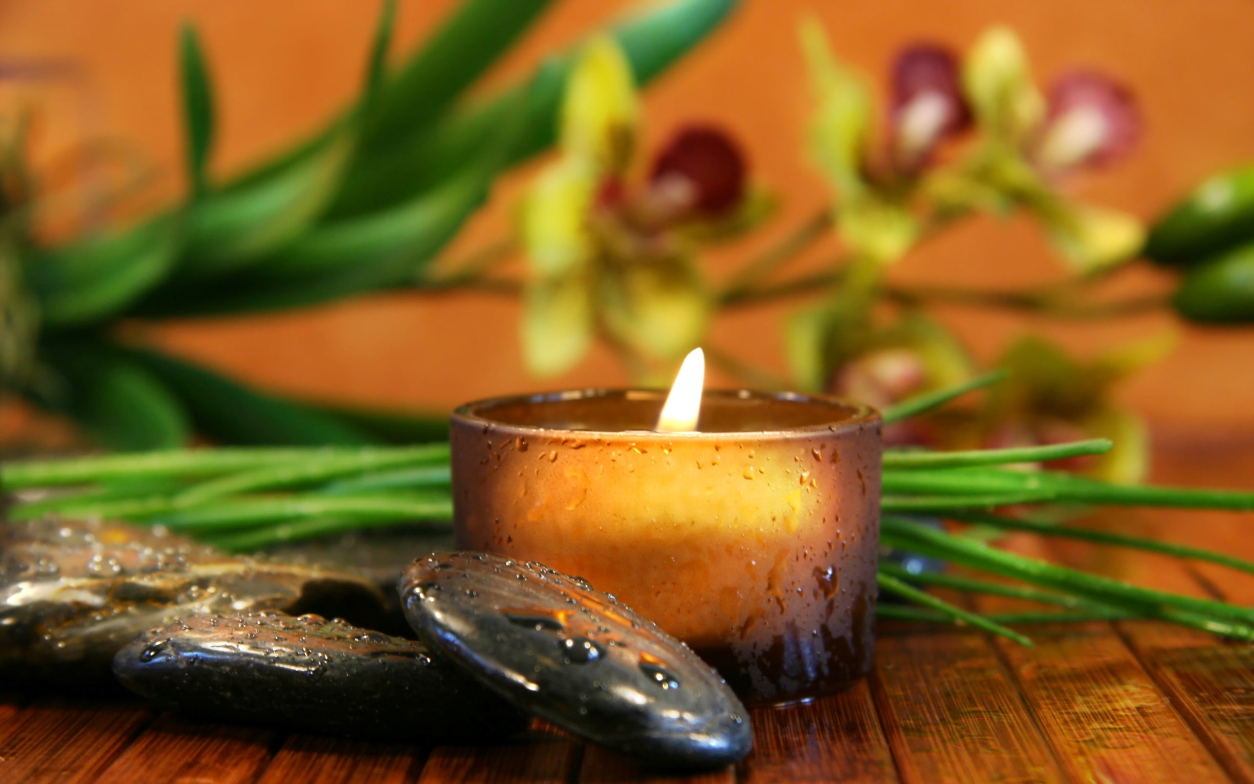 brown, hd, 2K, holder, candle, photography, HD Wallpaper