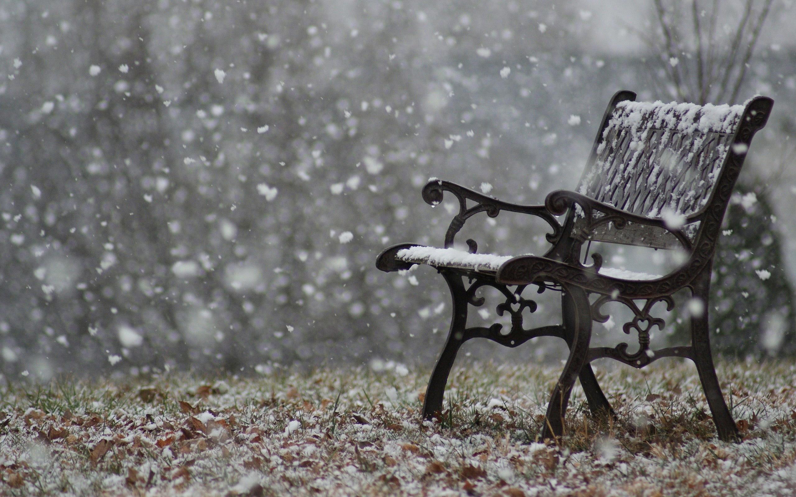 bench, nature, 2K, snowfall, park, winter, HD Wallpaper