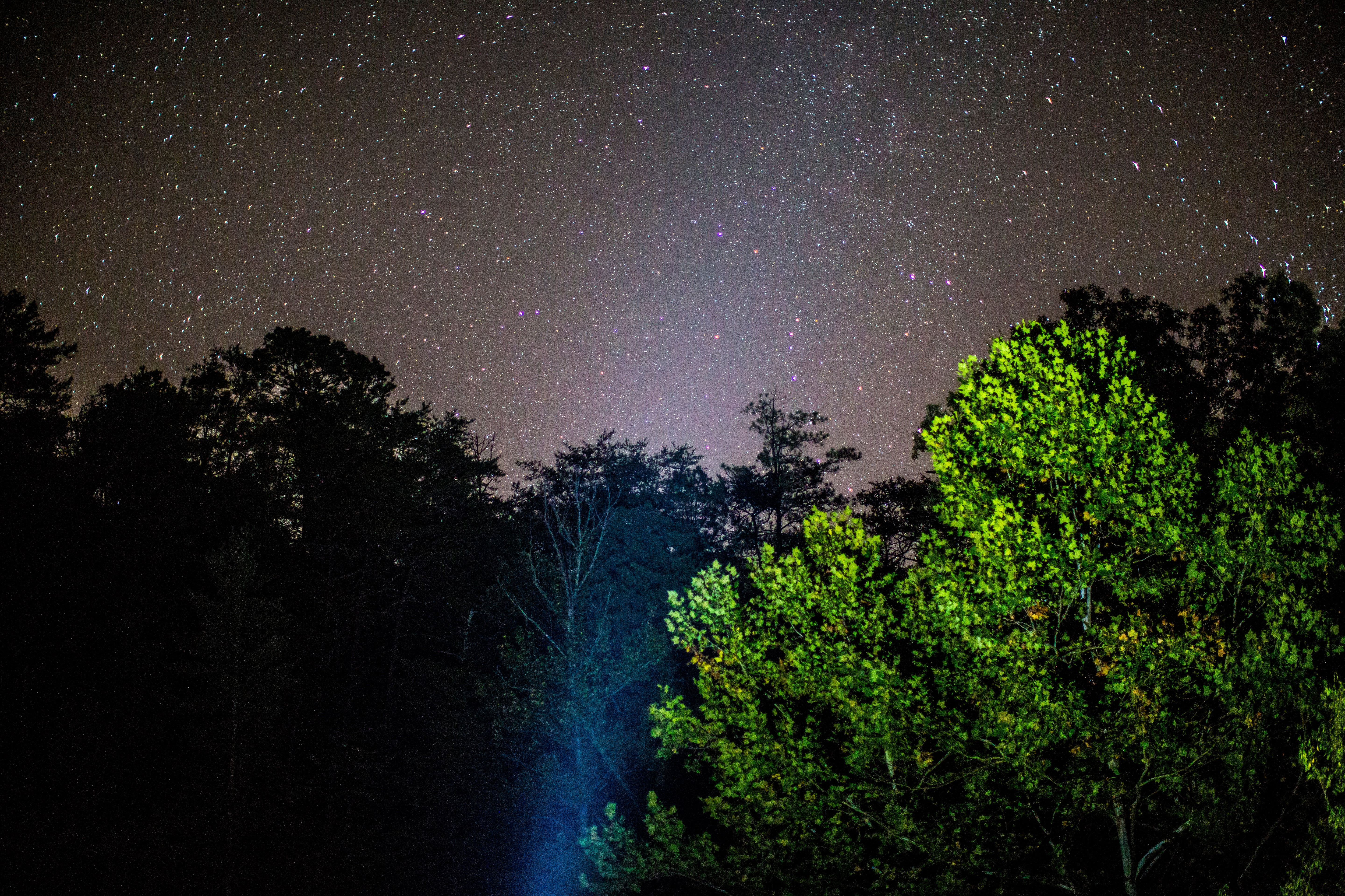 plant, astronomy, trees, flashlight, galaxies, midnight, green color, dark, nature, milky way, motion, scenics - nature, green, tree, idyllic, outdoors, HD Wallpaper