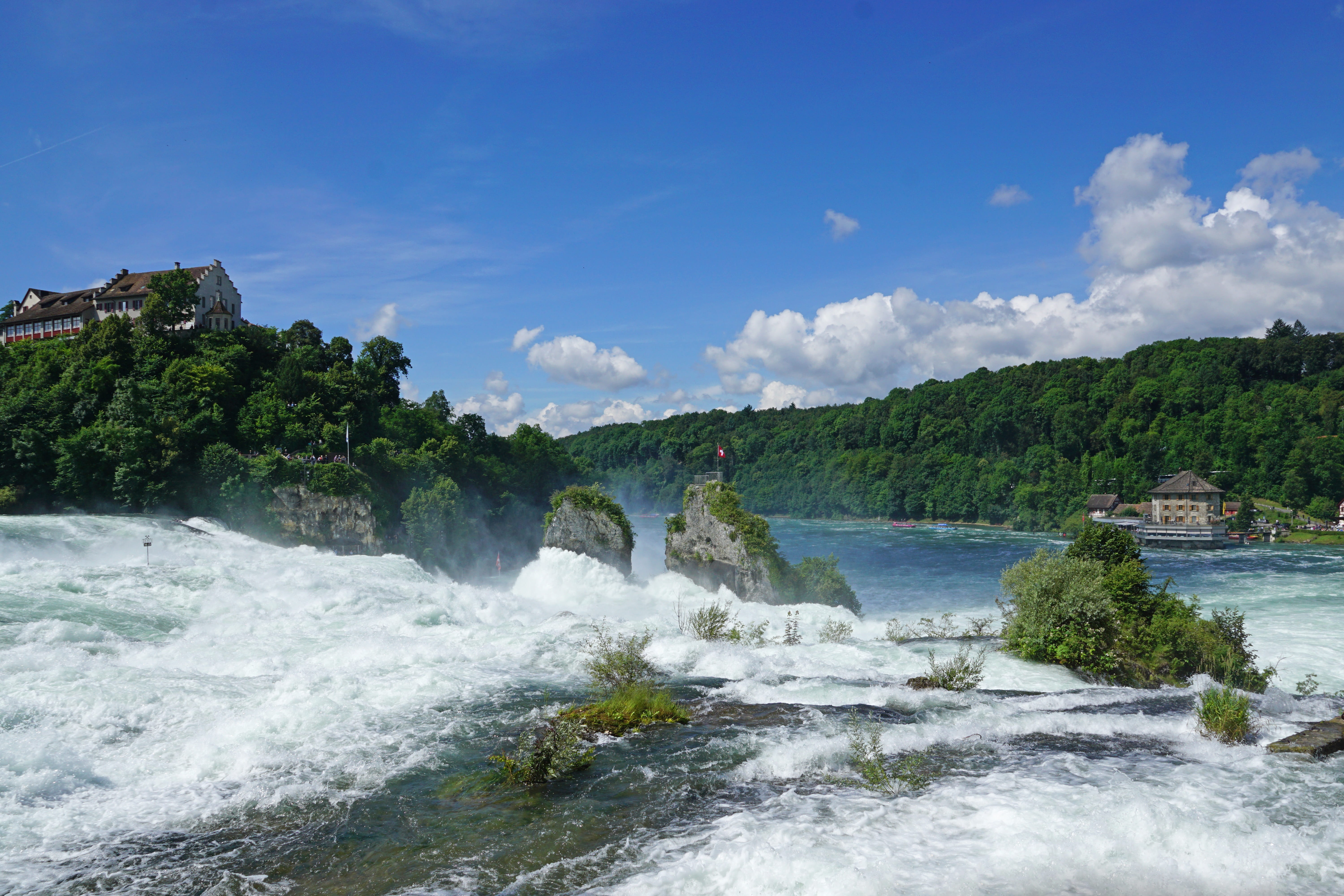 water mass, Schaffhausen, nature, plant, travel, motion, switzerland, rhine, beauty in nature, environment, cloud - sky, 5K, High Water, no people, run closed, HD Wallpaper